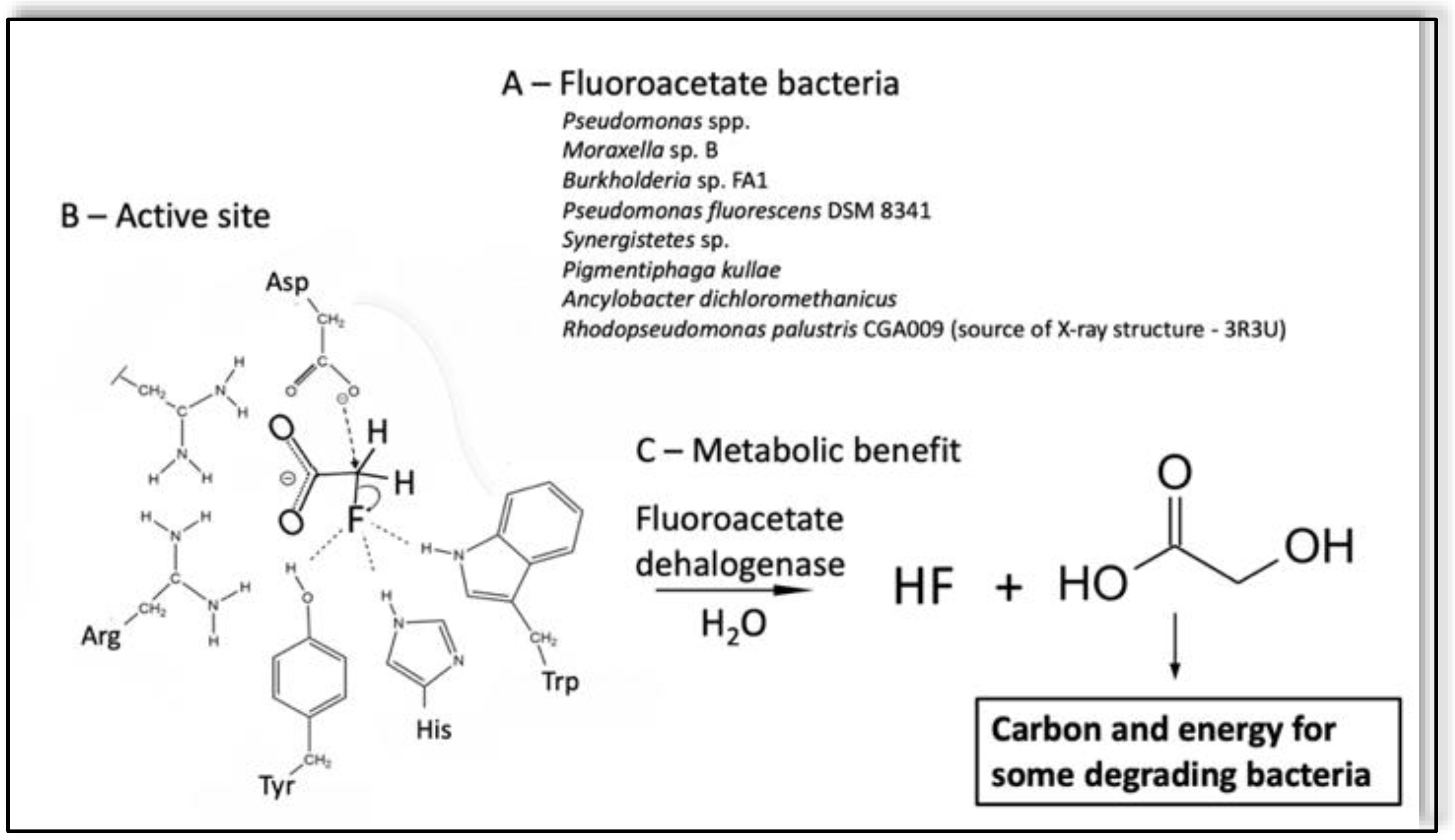 Microorganisms 10 01664 g002 Microorganisms 10 01664 g002
