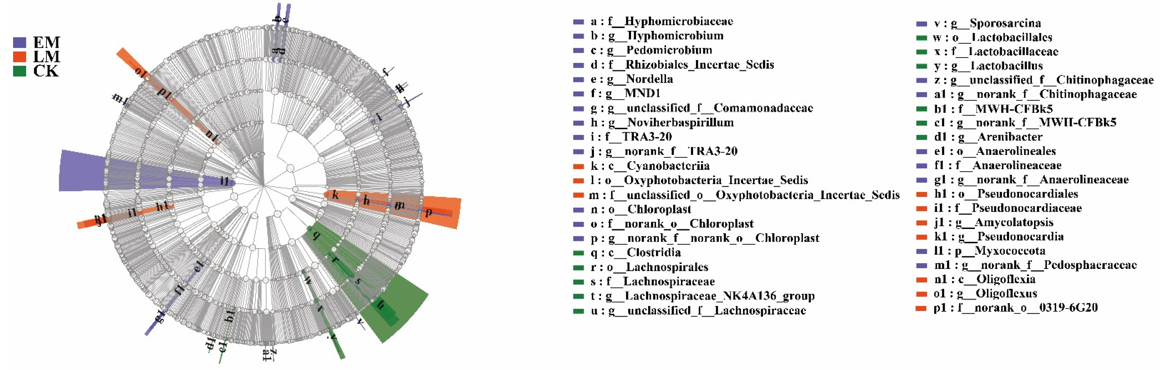 Microorganisms 10 01667 g005 Microorganisms 10 01667 g005