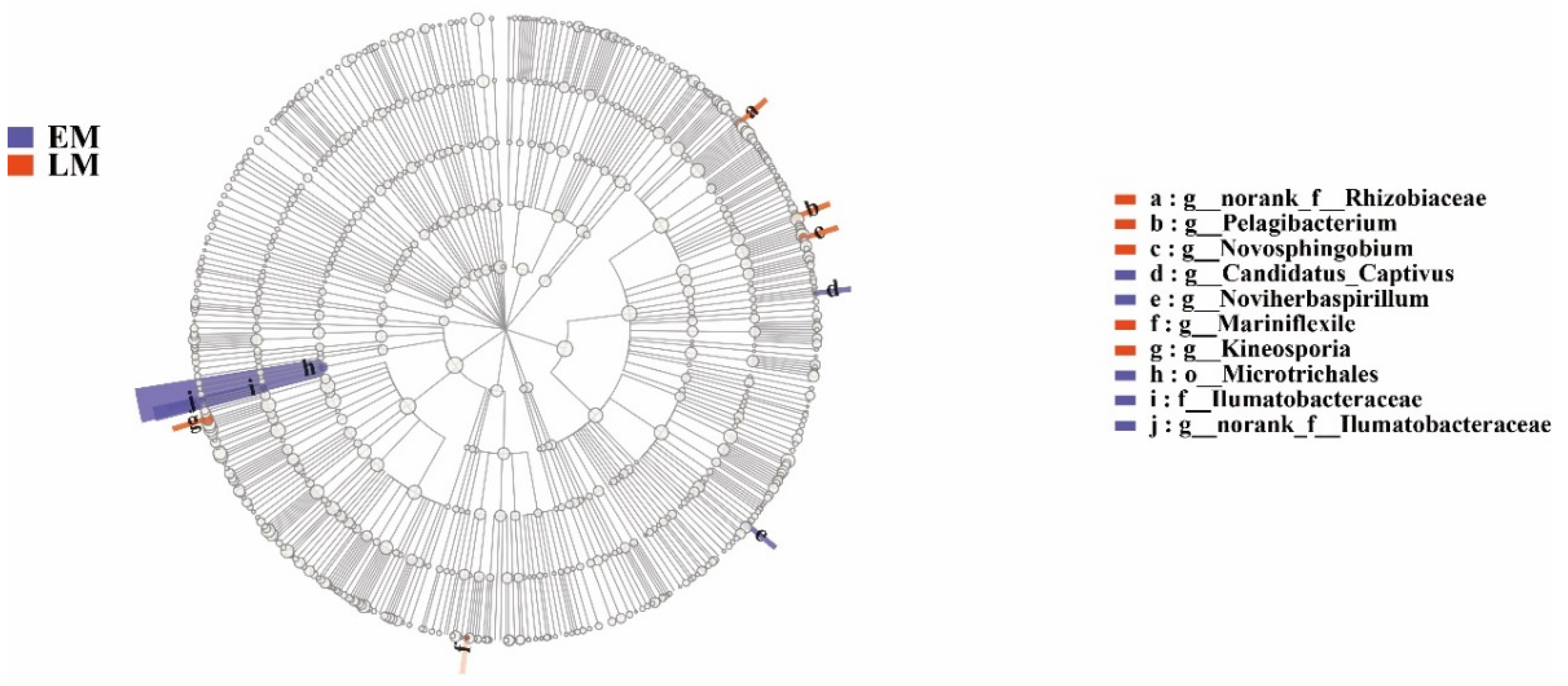 Microorganisms 10 01667 g011 Microorganisms 10 01667 g011