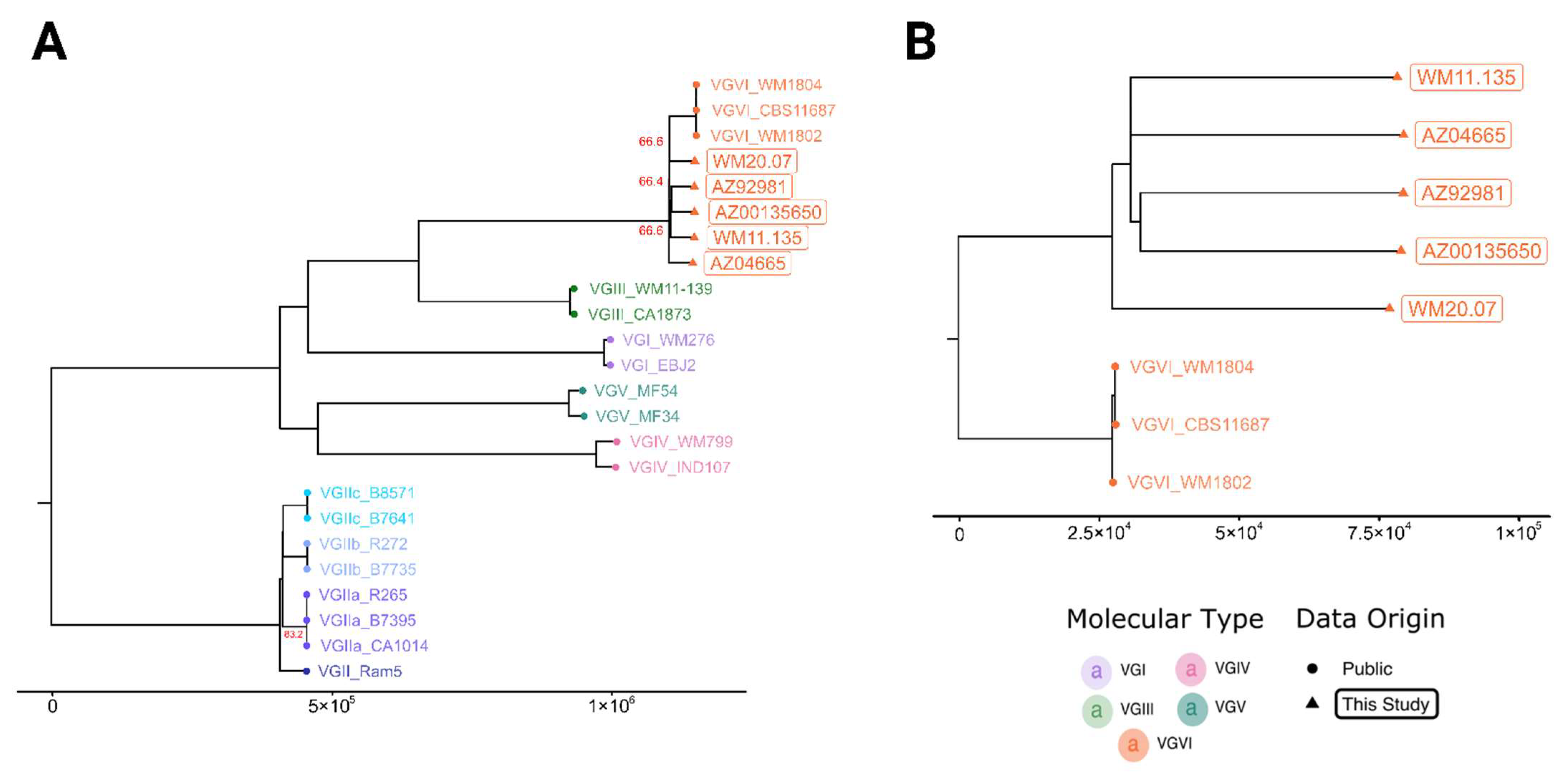 Microorganisms 10 01681 g001