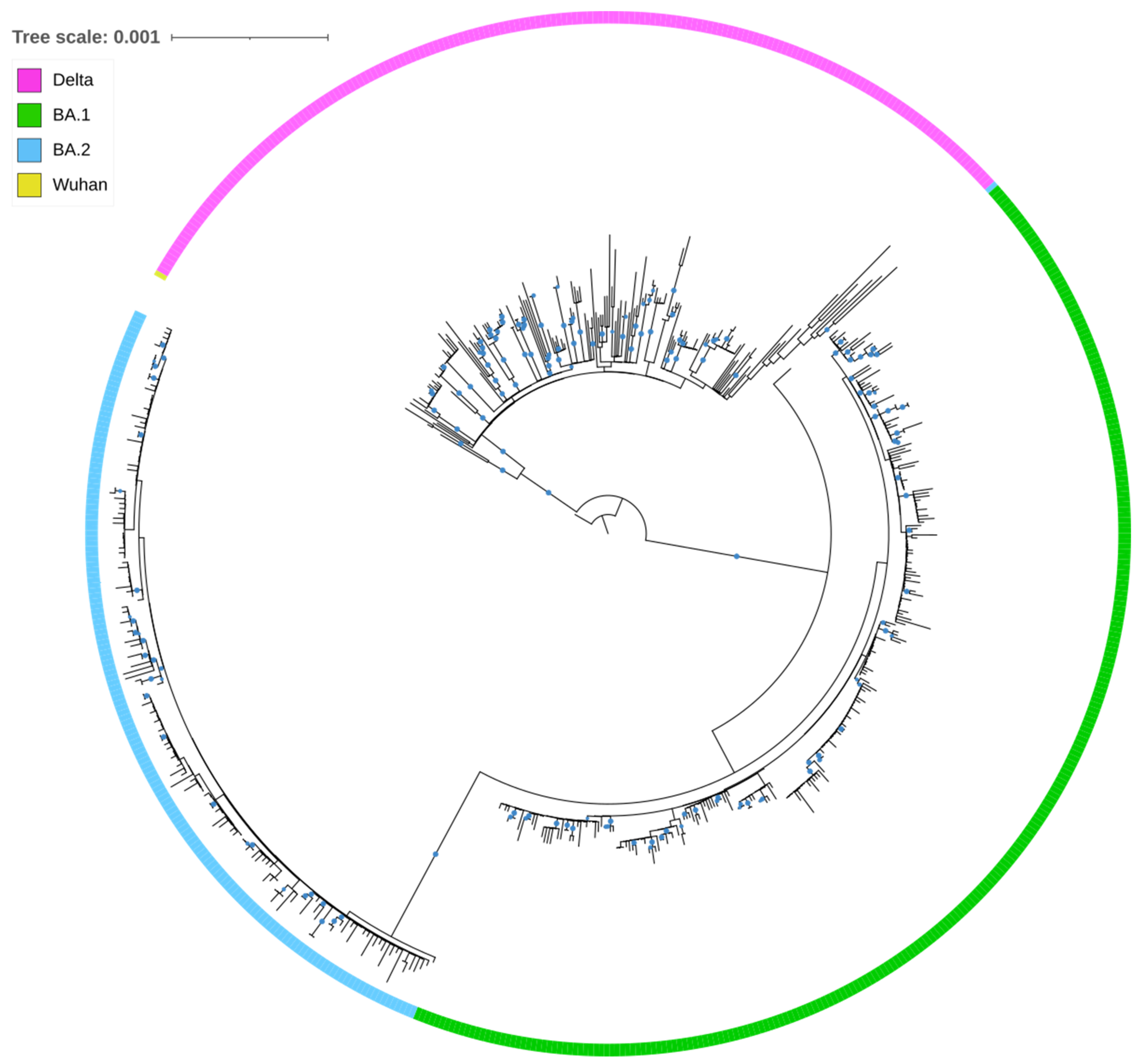 Microorganisms 10 01688 g003