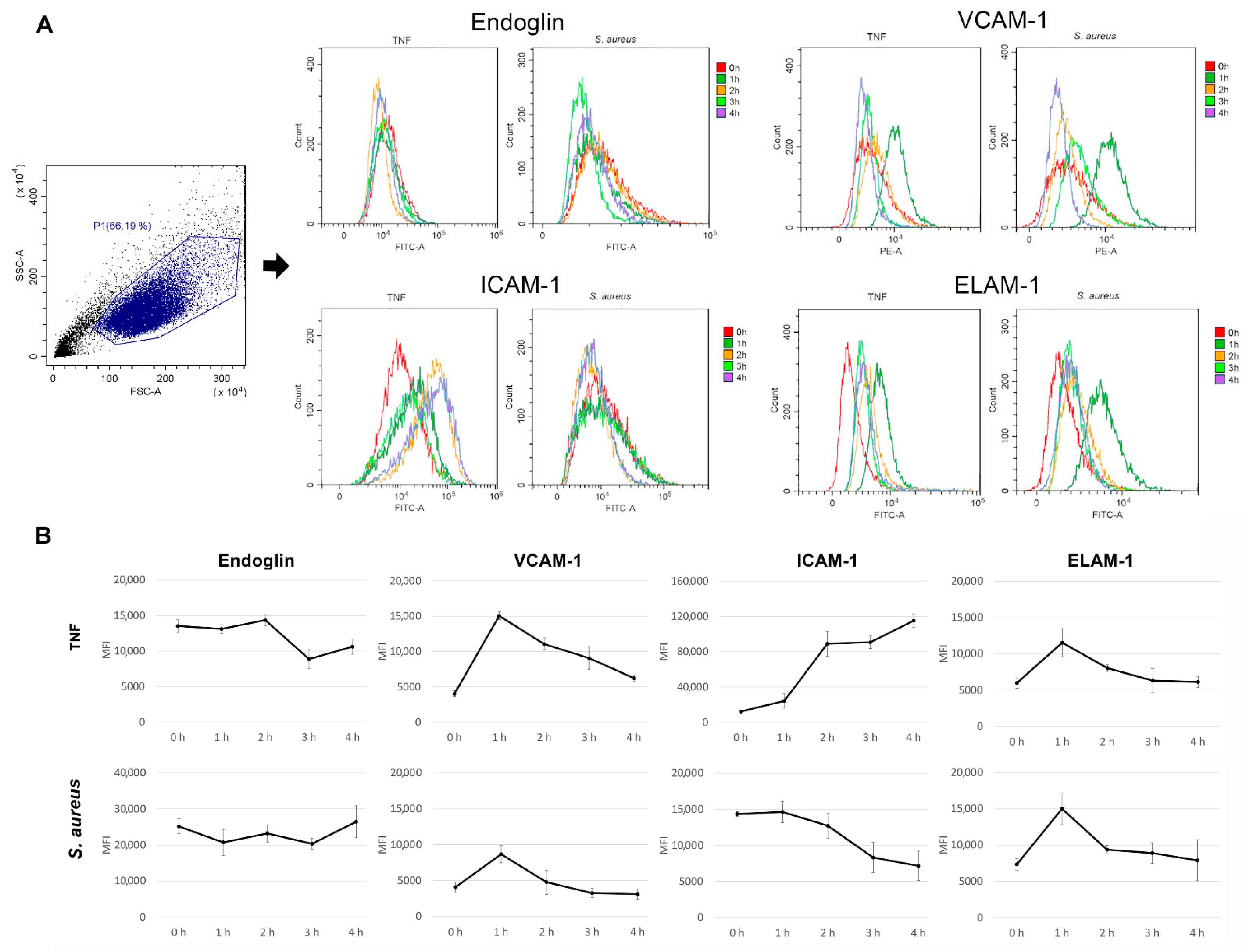 Microorganisms 10 01696 g001