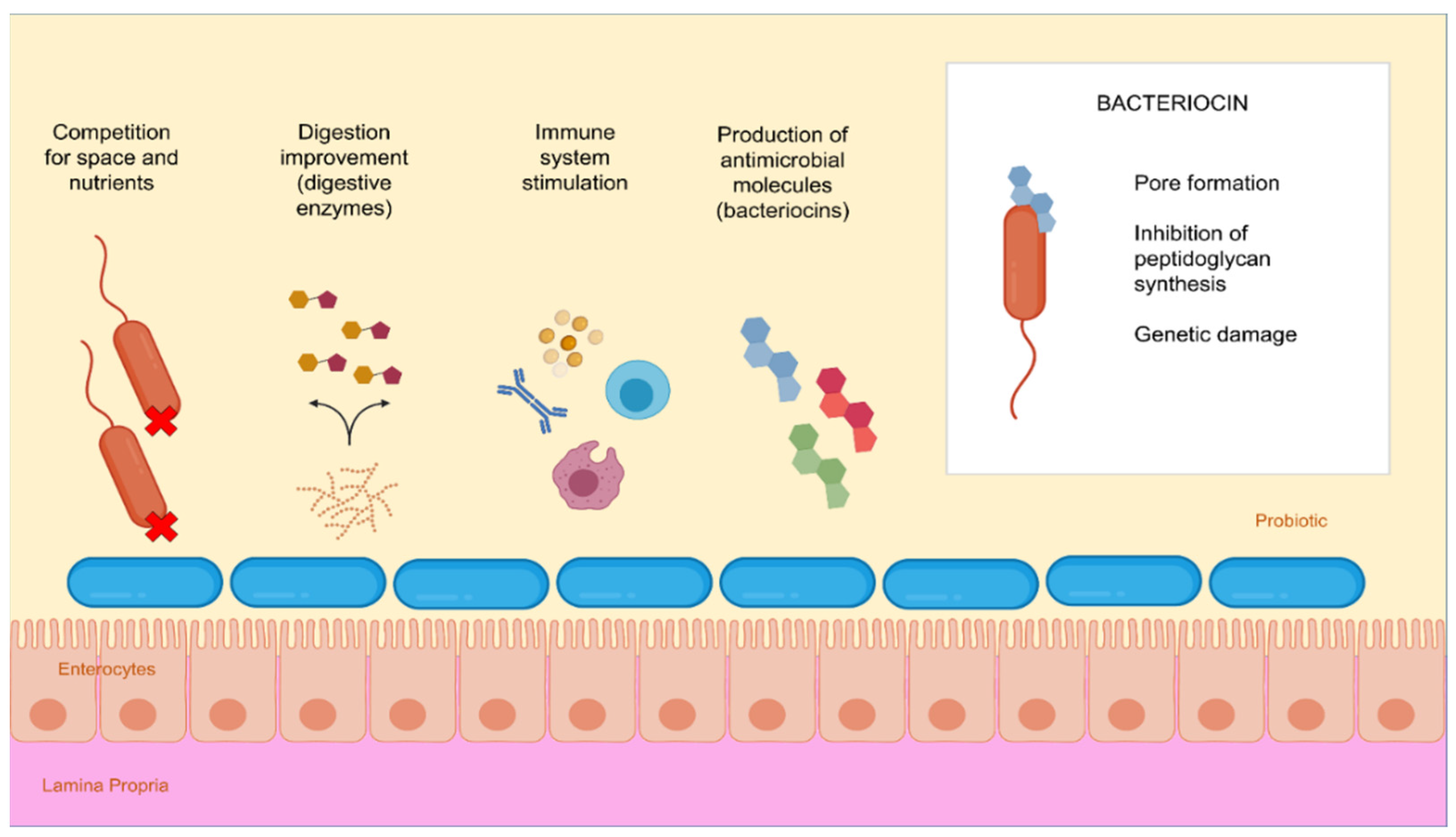 Microorganisms 10 01705 g002