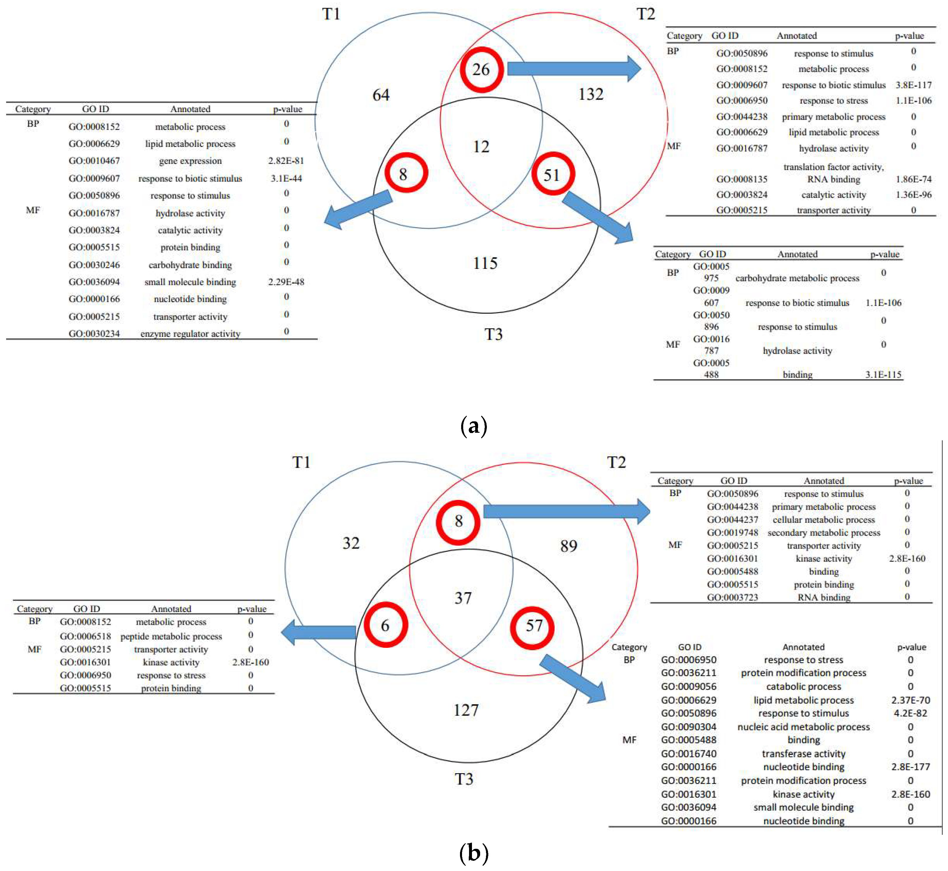 Microorganisms 10 01710 g001