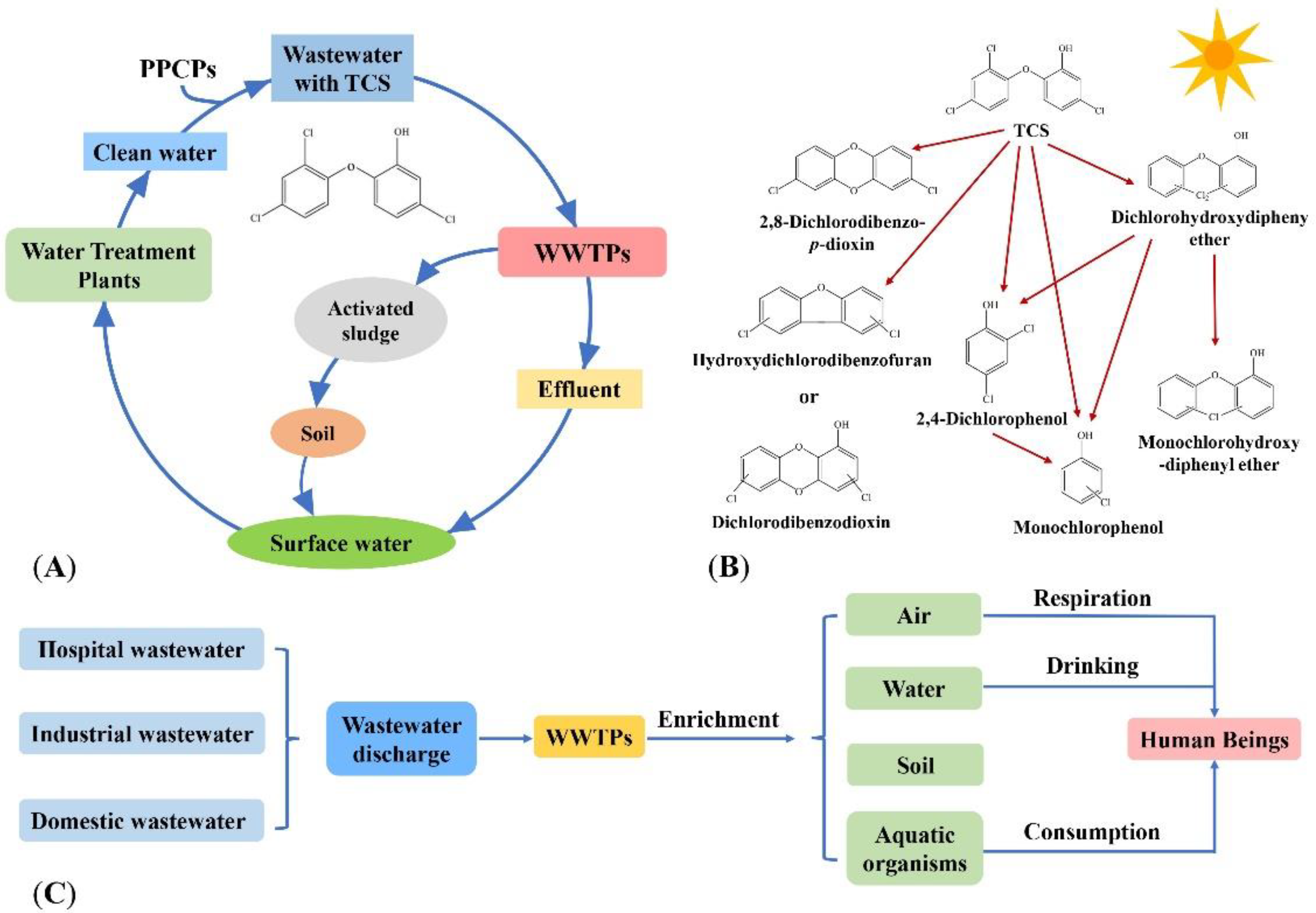 Microorganisms 10 01713 g001