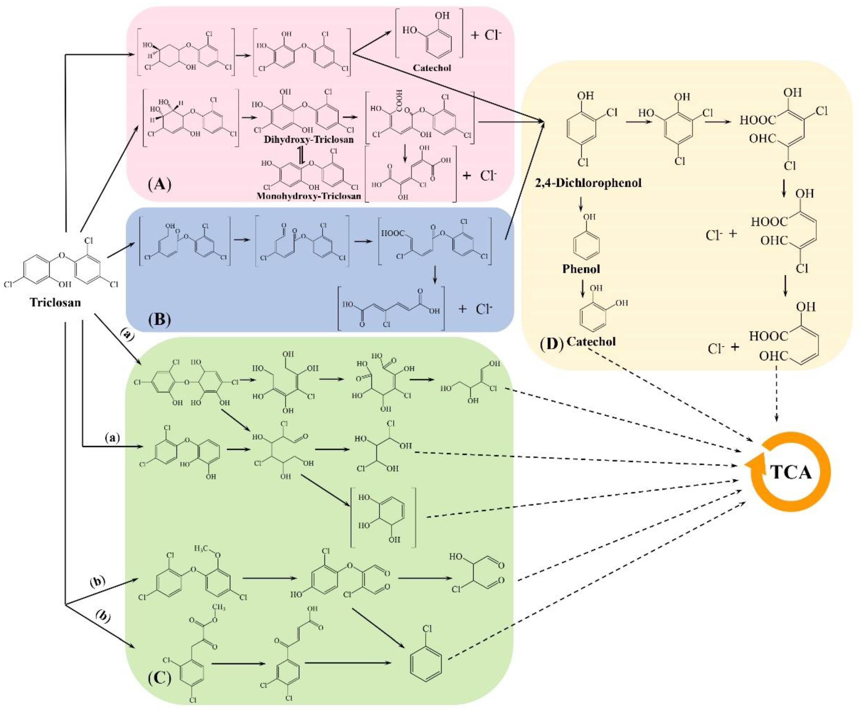 Microorganisms 10 01713 g003