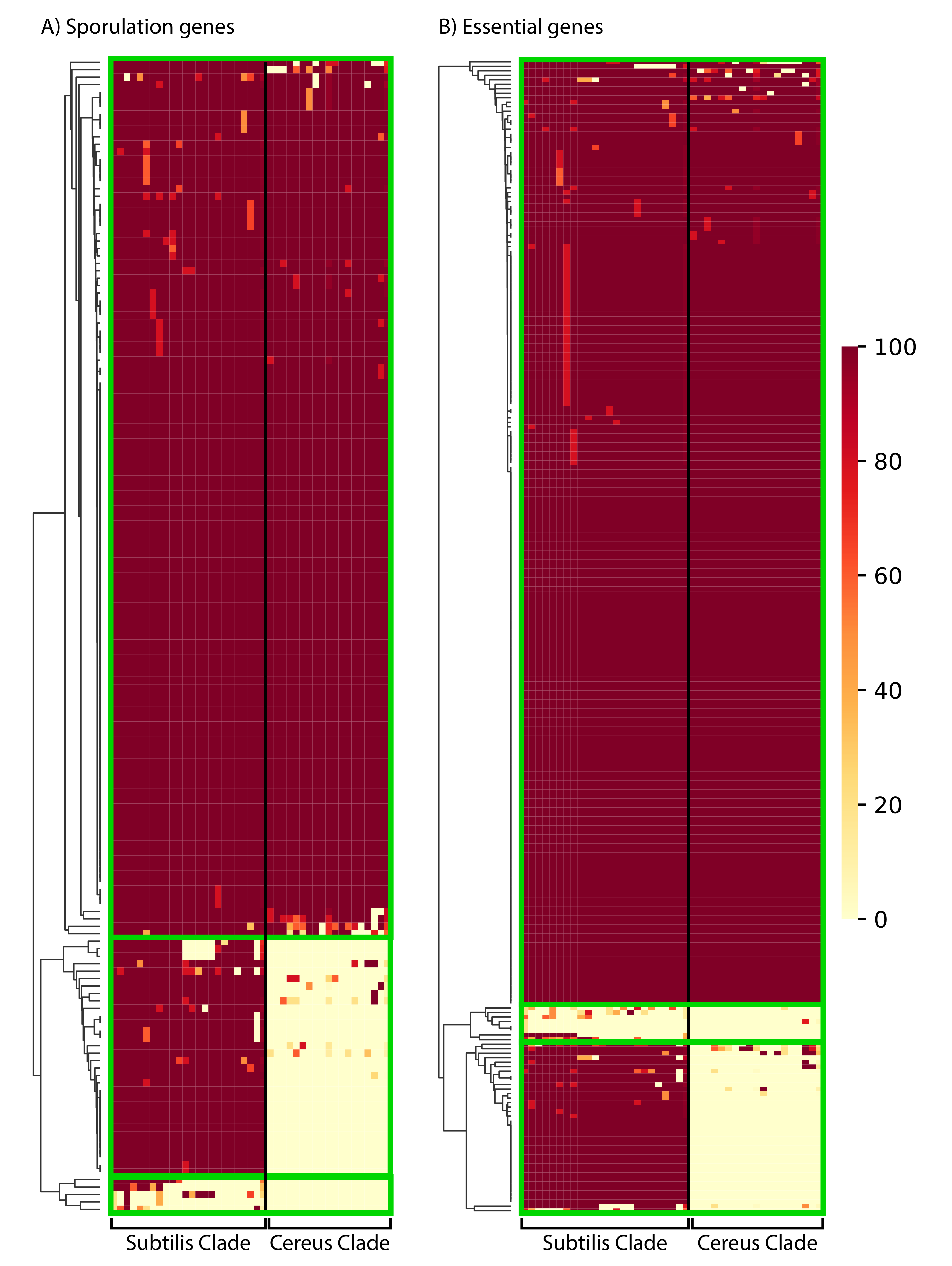 Microorganisms 10 01720 g006
