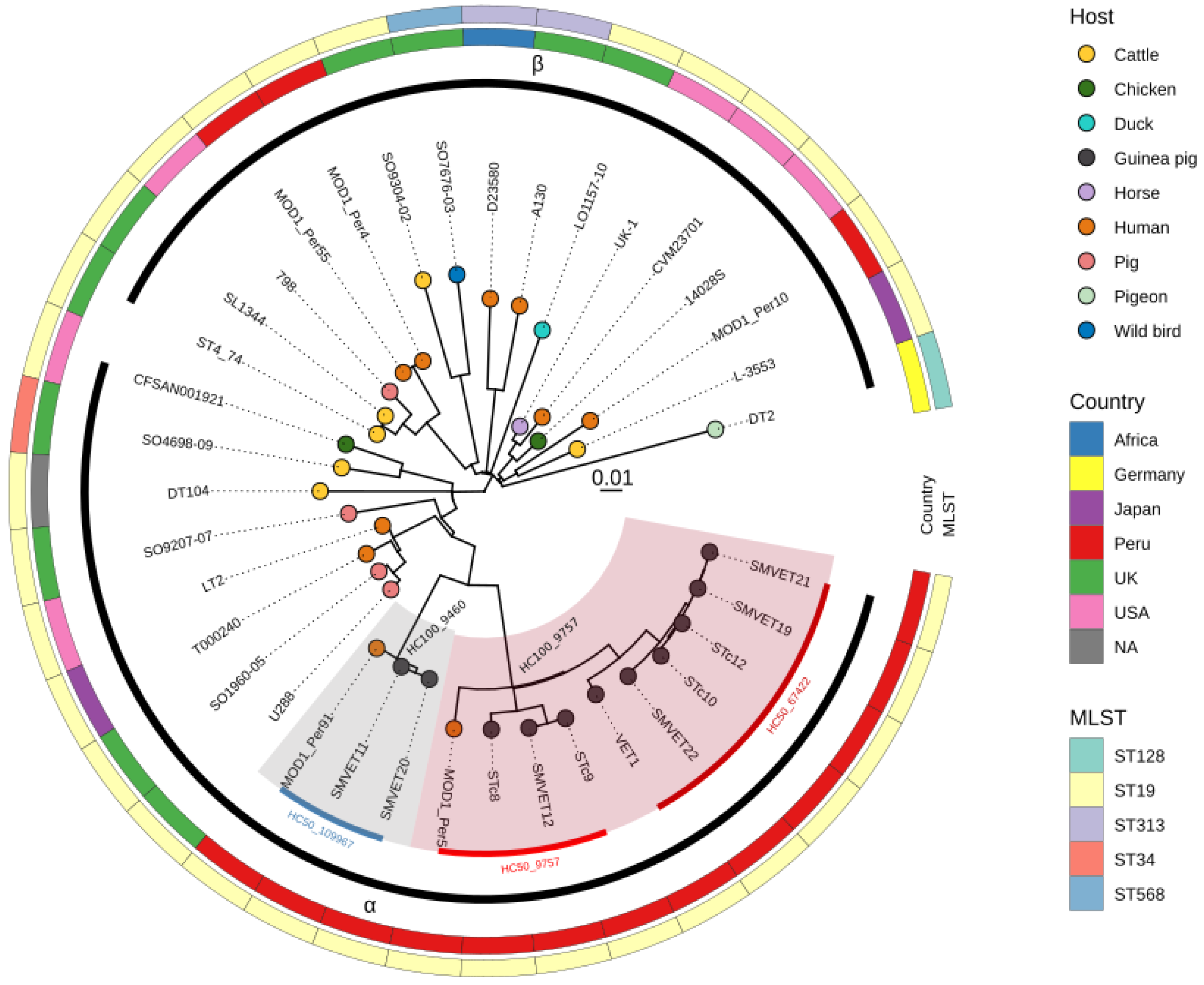 Microorganisms 10 01726 g001