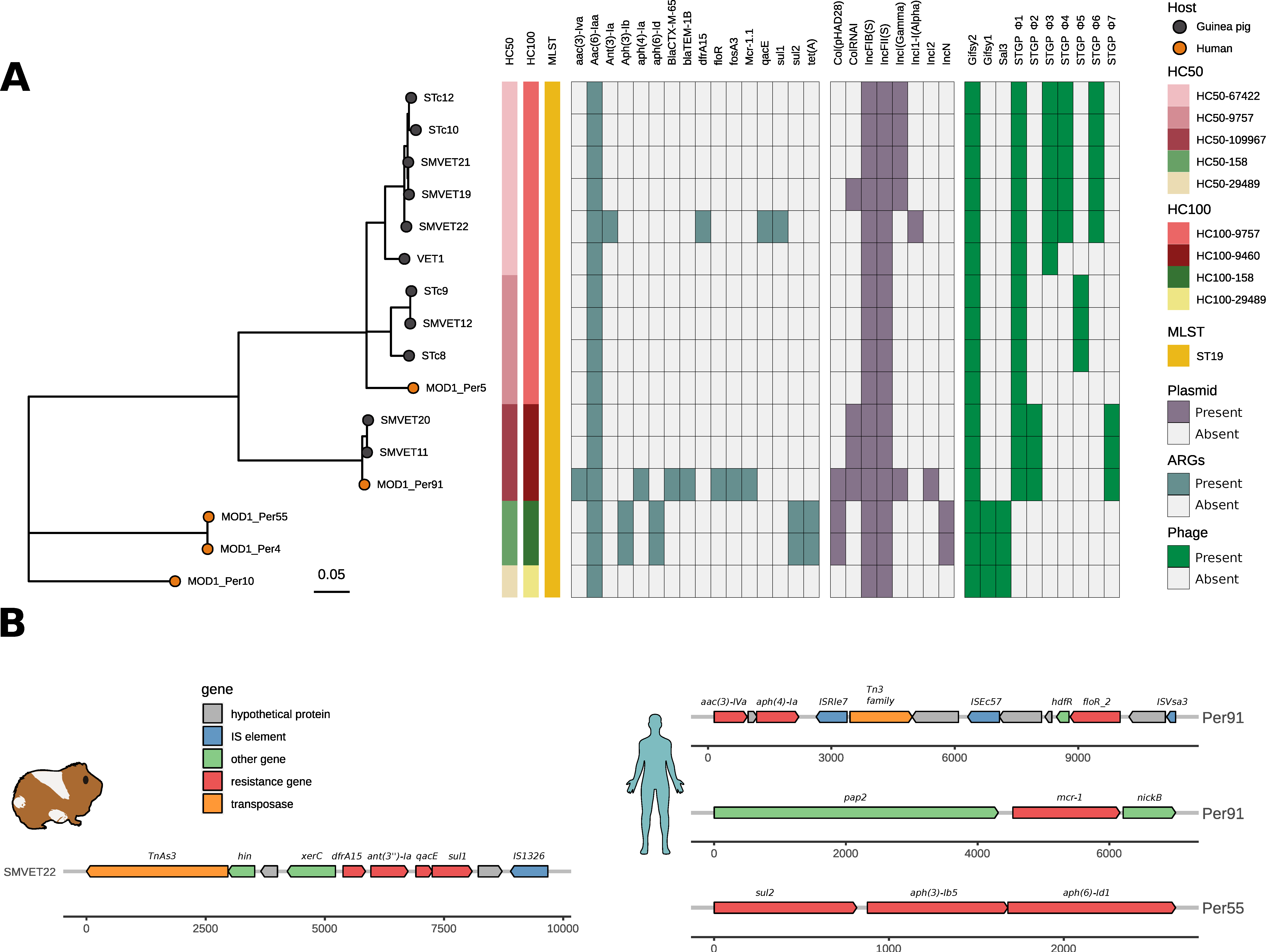 Microorganisms 10 01726 g002