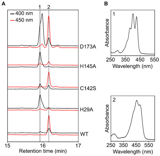Microorganisms 10 01730 g005 550