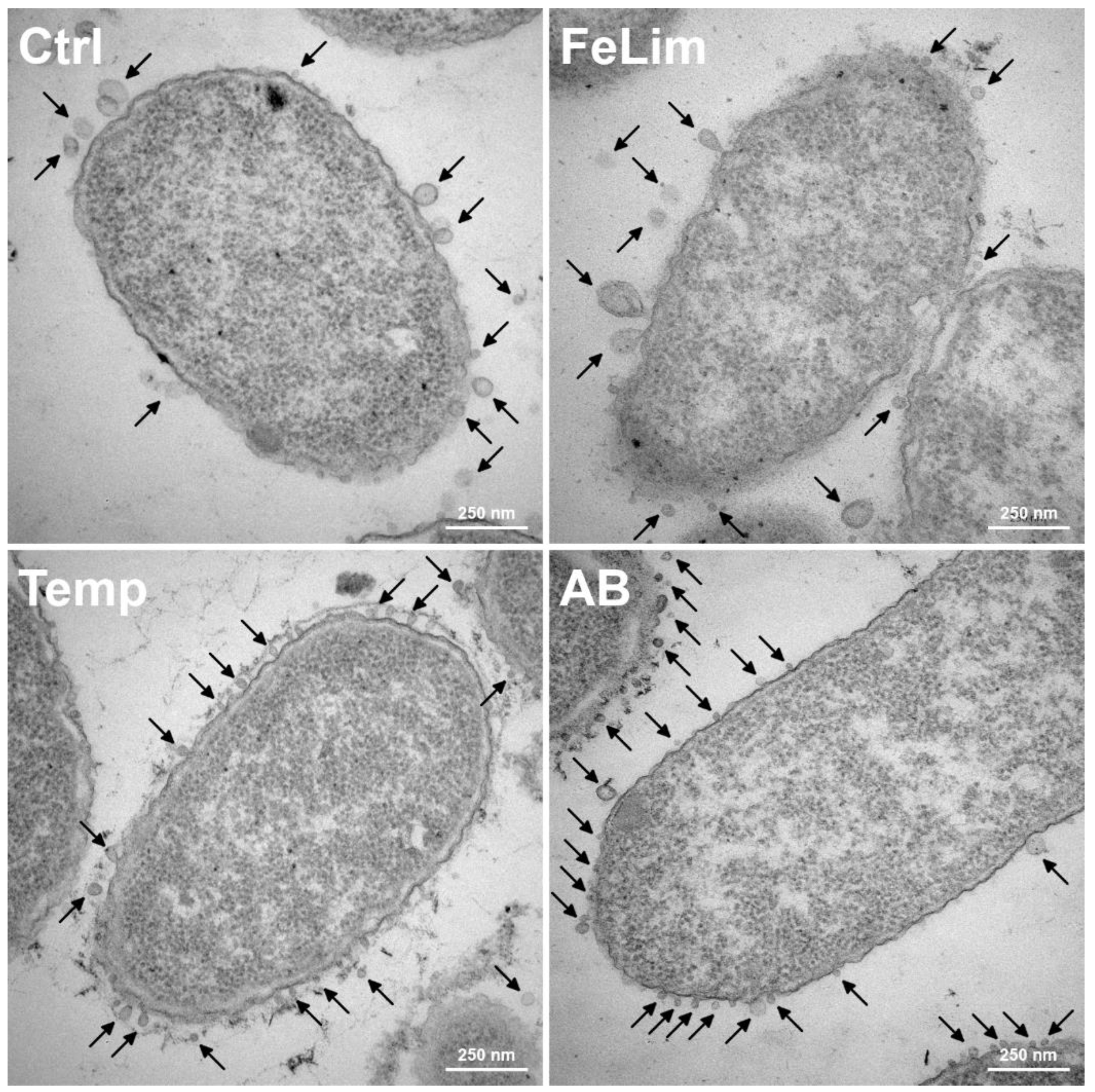 Microorganisms 10 01735 g006 Microorganisms 10 01735 g006