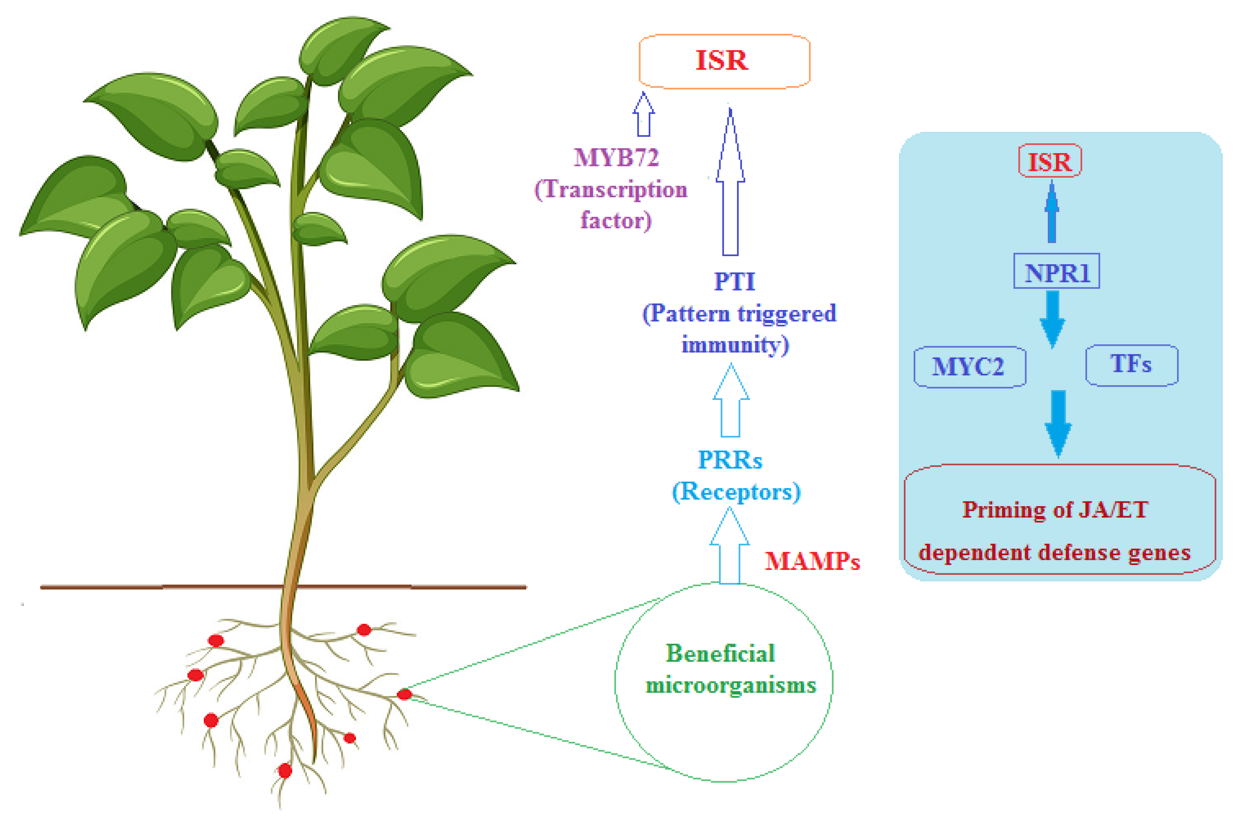 Microorganisms 10 01739 g002