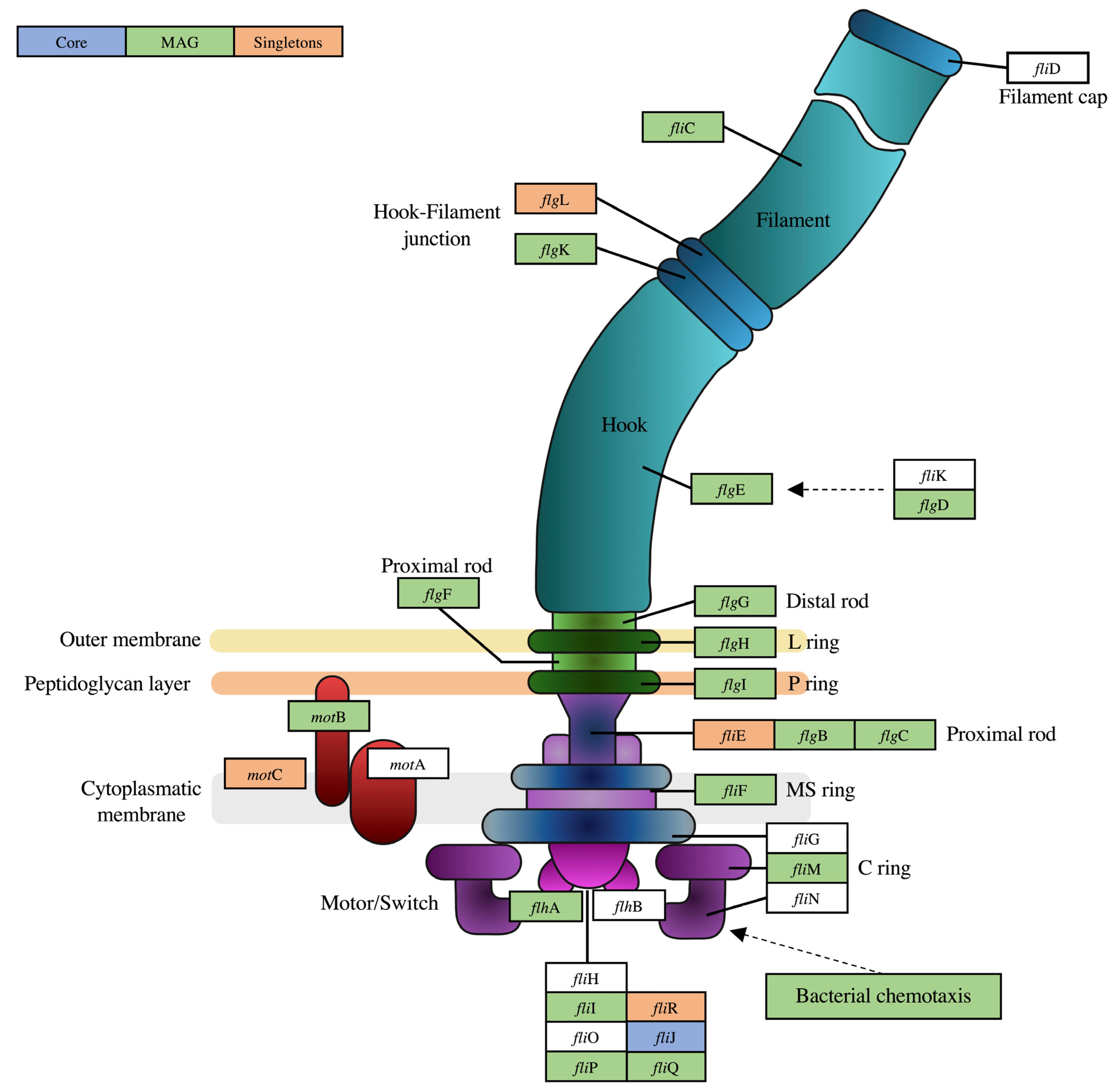Microorganisms 10 01747 g004