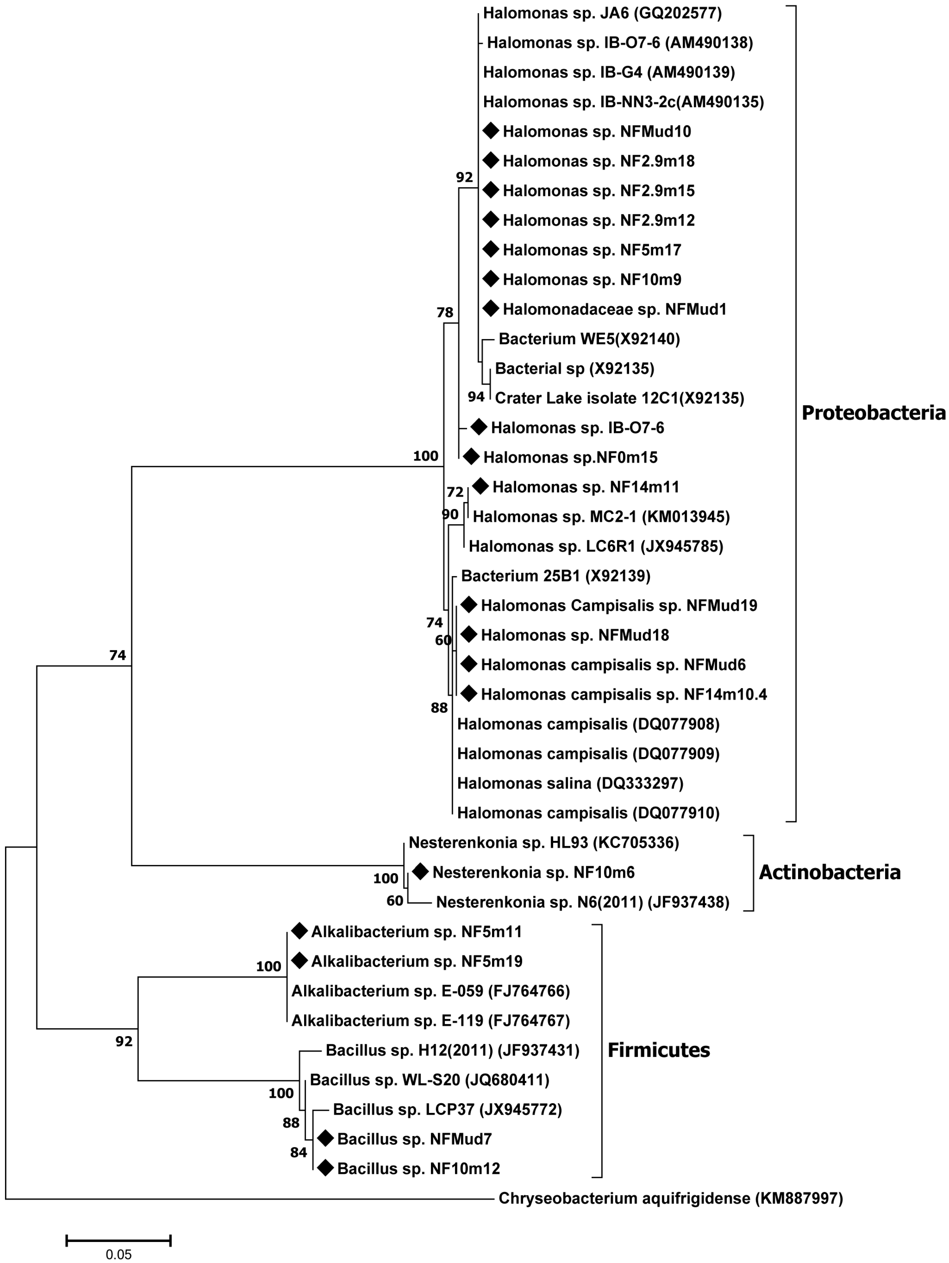 Microorganisms 10 01760 g004