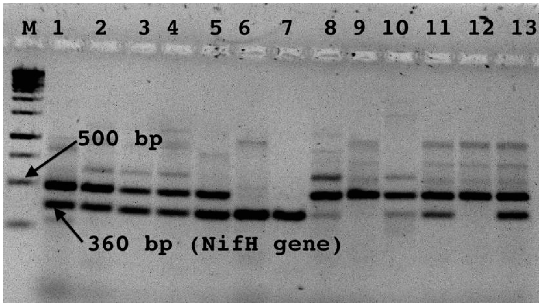 Microorganisms 10 01760 g005