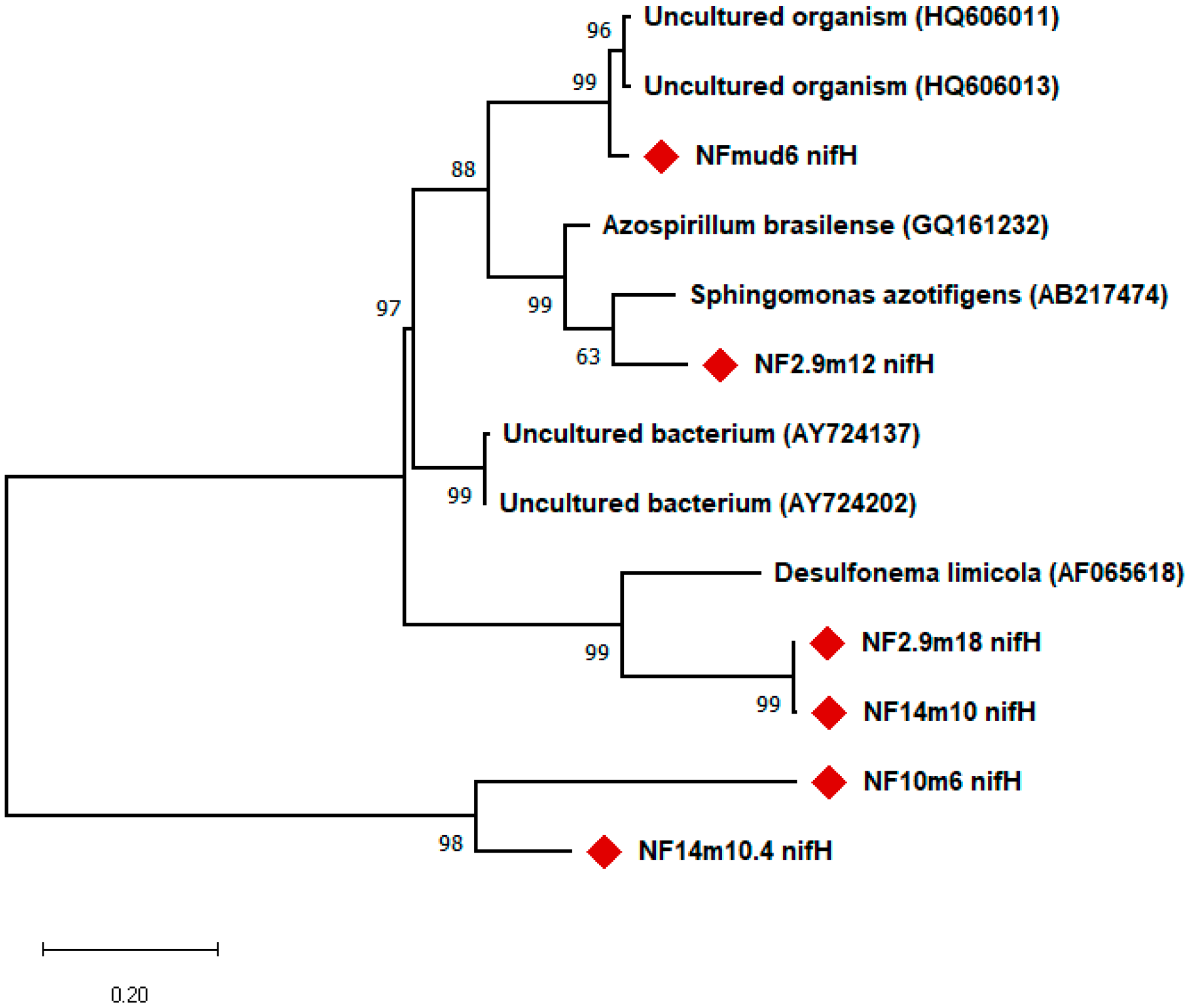 Microorganisms 10 01760 g006