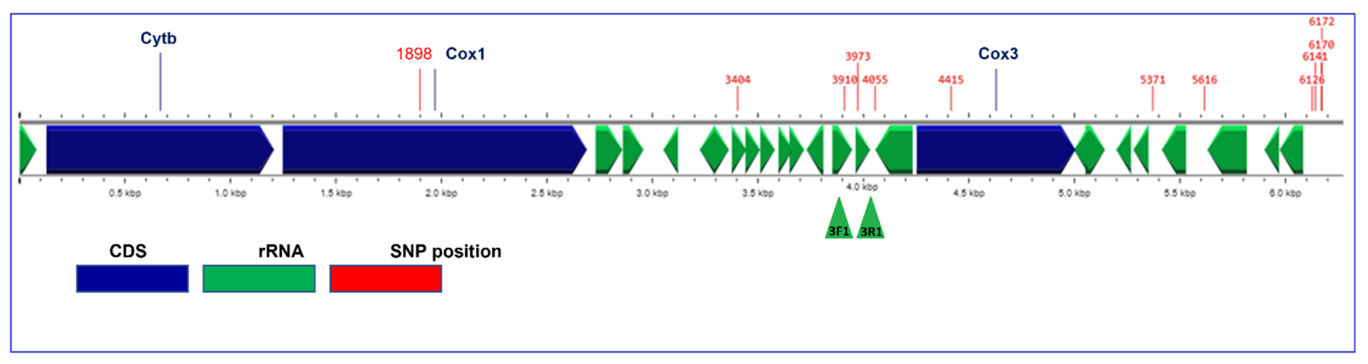 Microorganisms 10 01762 g001