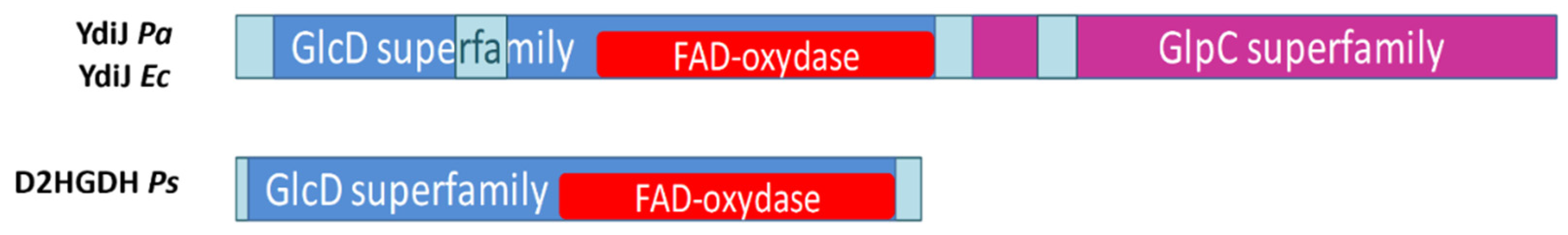 Microorganisms 10 01766 g003