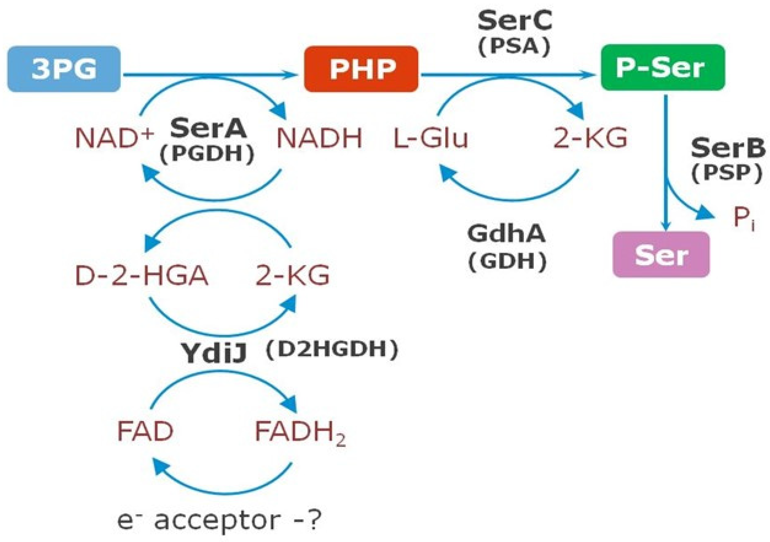 Microorganisms 10 01766 g009