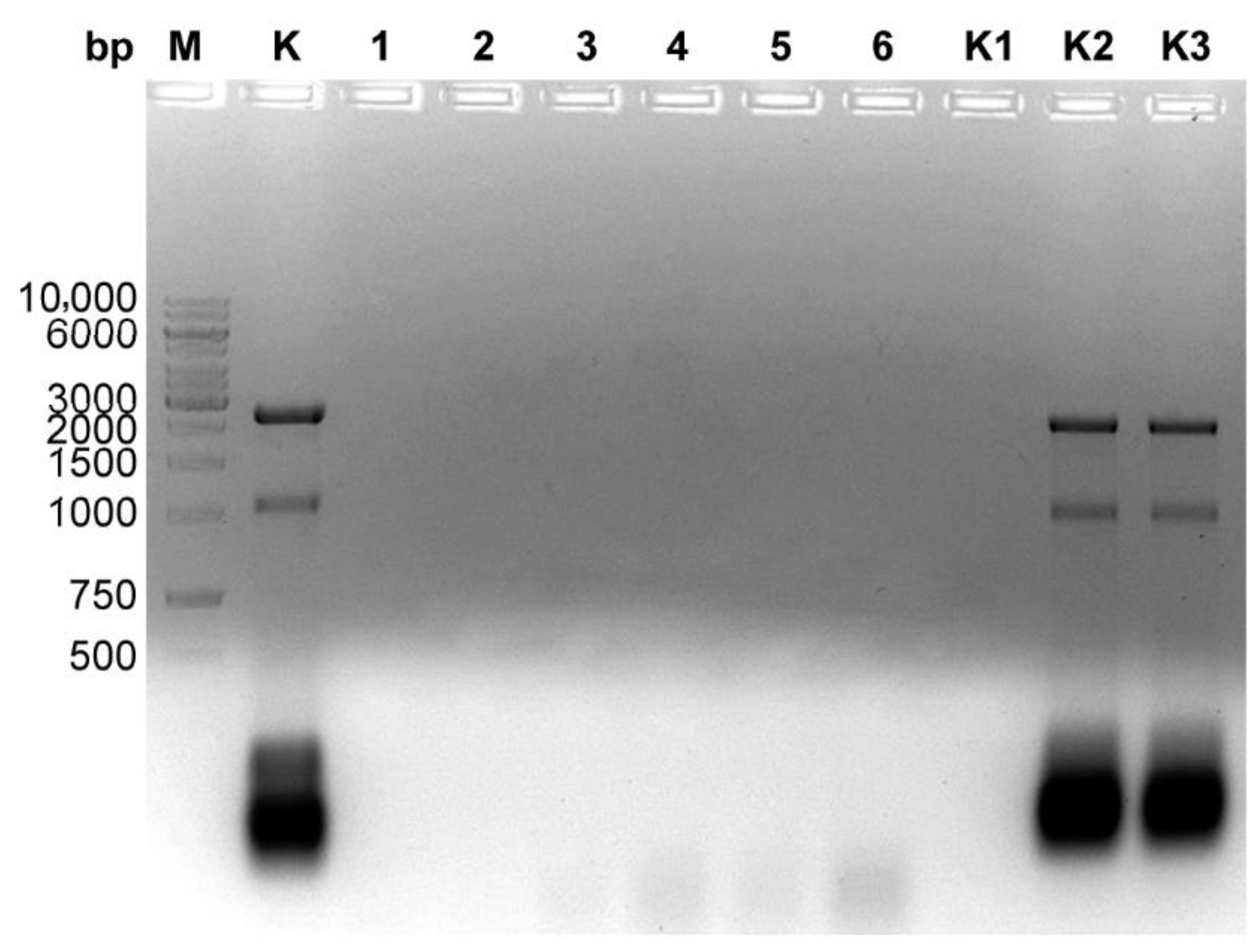 Microorganisms 10 01782 g003