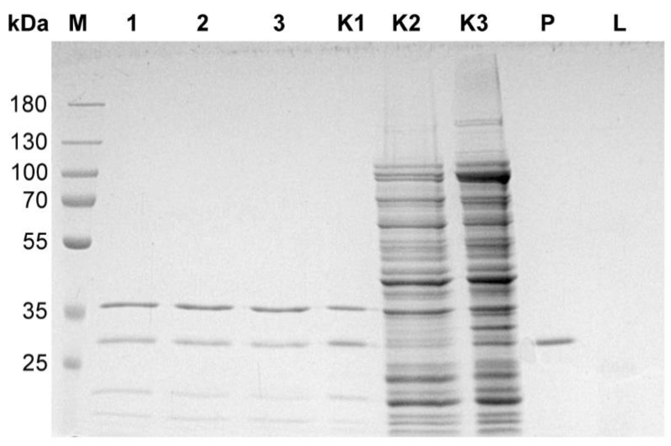 Microorganisms 10 01782 g004