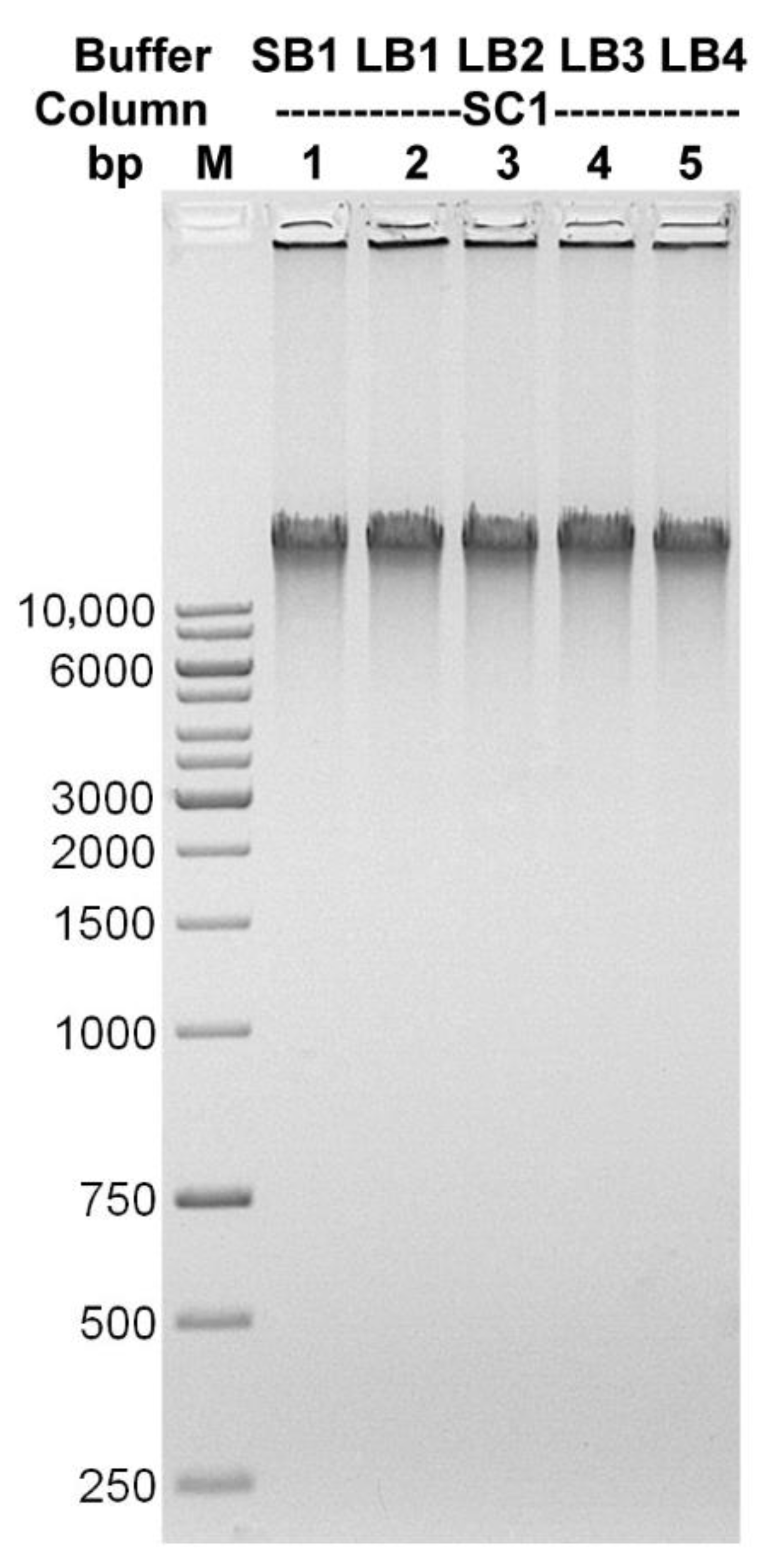 Microorganisms 10 01782 g006