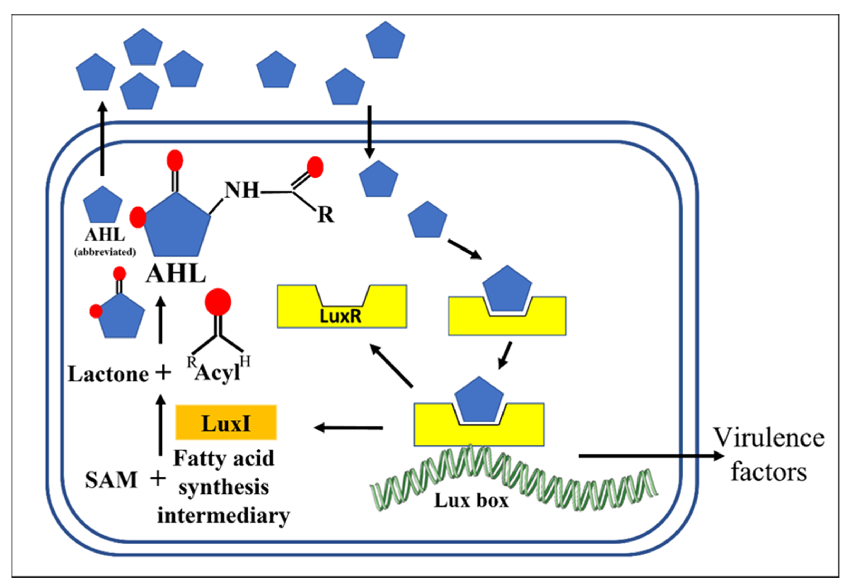 Microorganisms 10 01783 g001