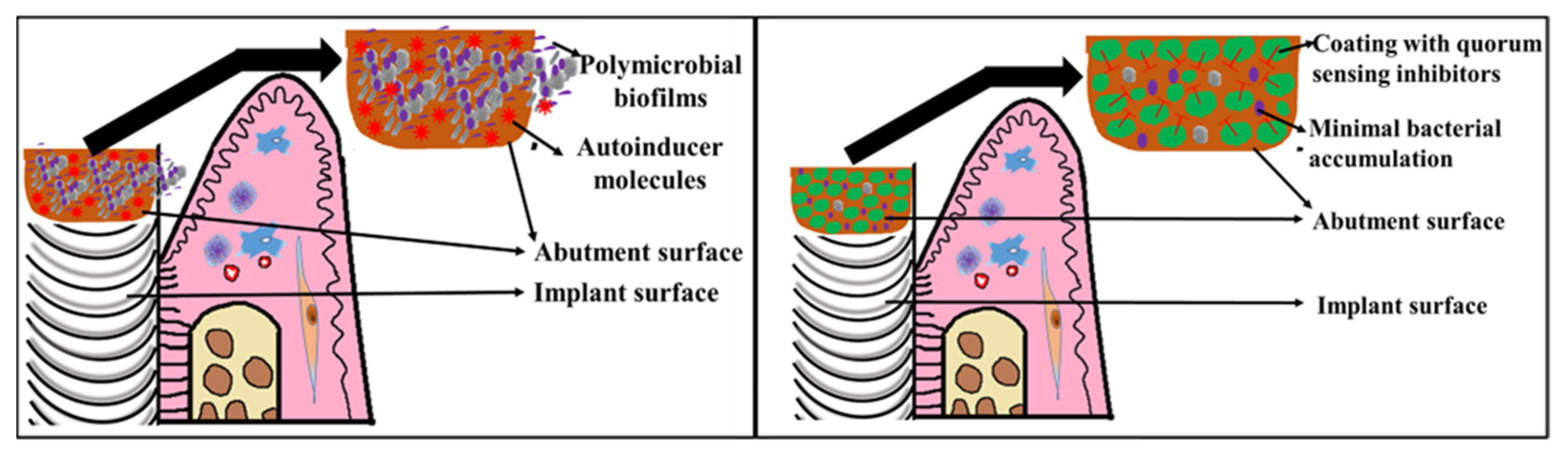 Microorganisms 10 01783 g004