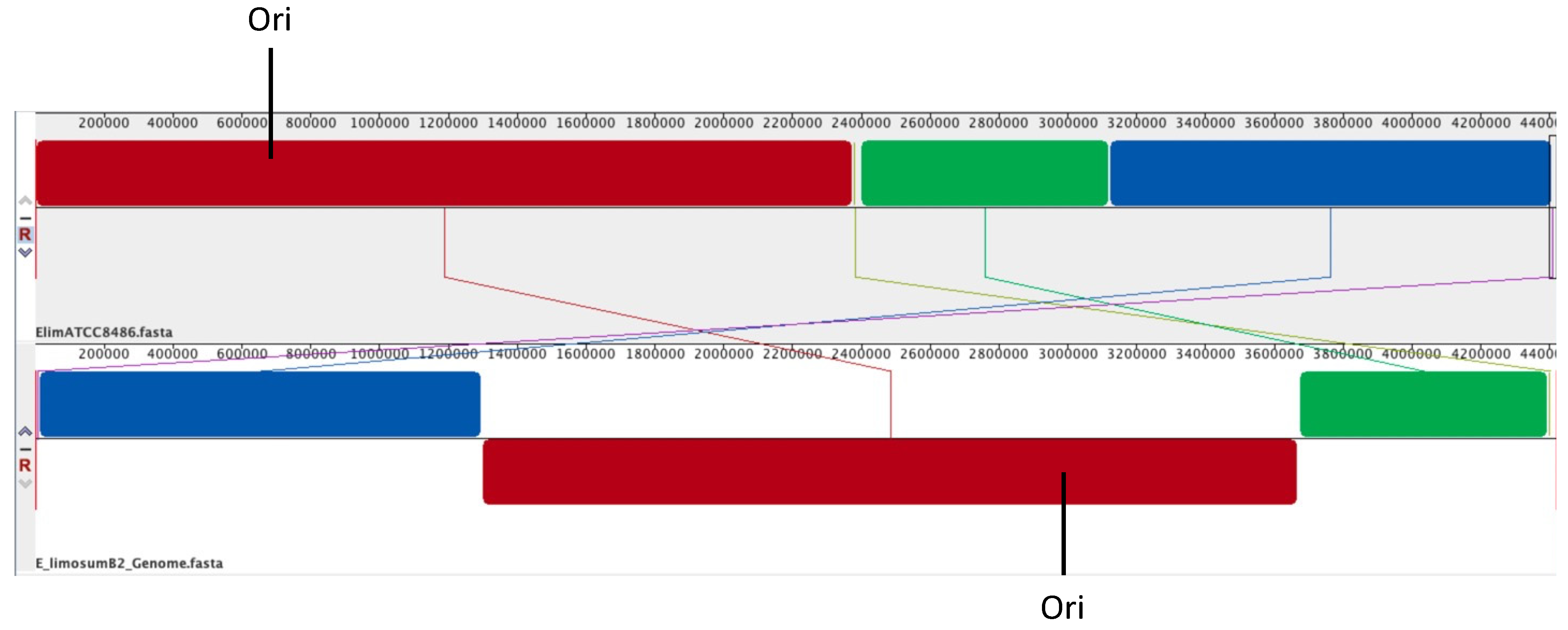 Microorganisms 10 01790 g001