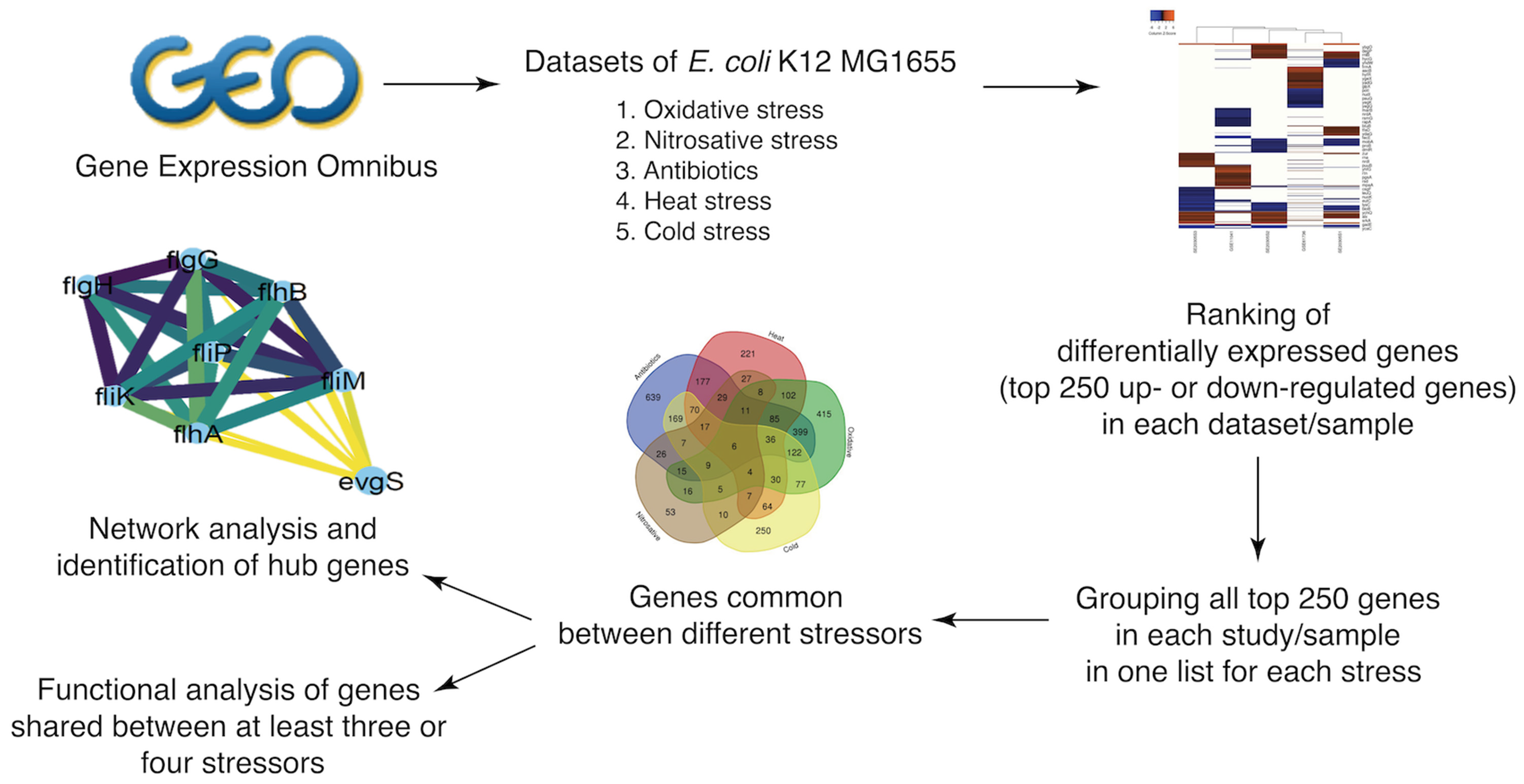 Microorganisms 10 01793 g001