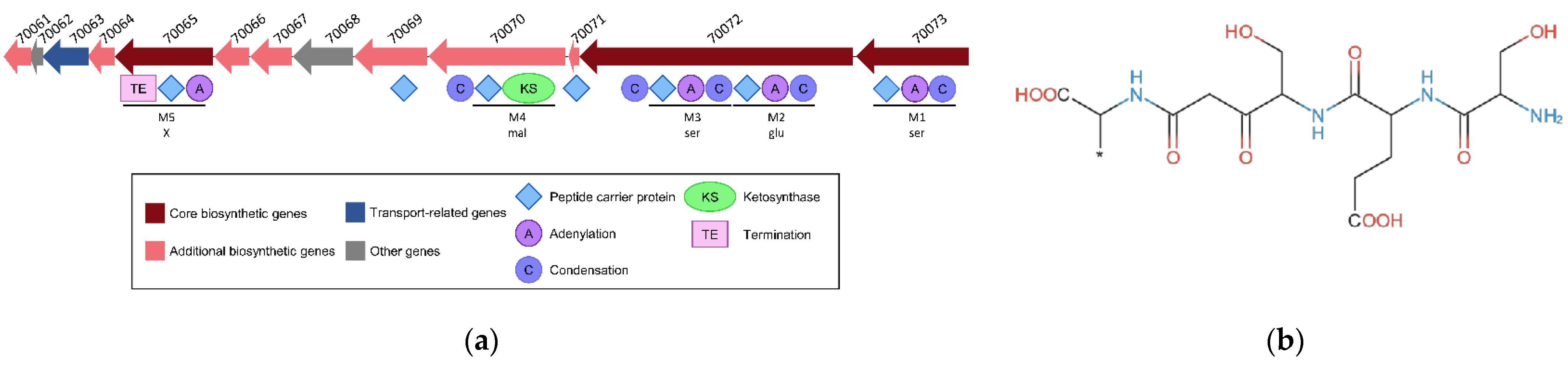 Microorganisms 10 01794 g008