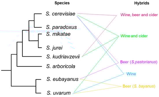 Microorganisms 10 01811 g001