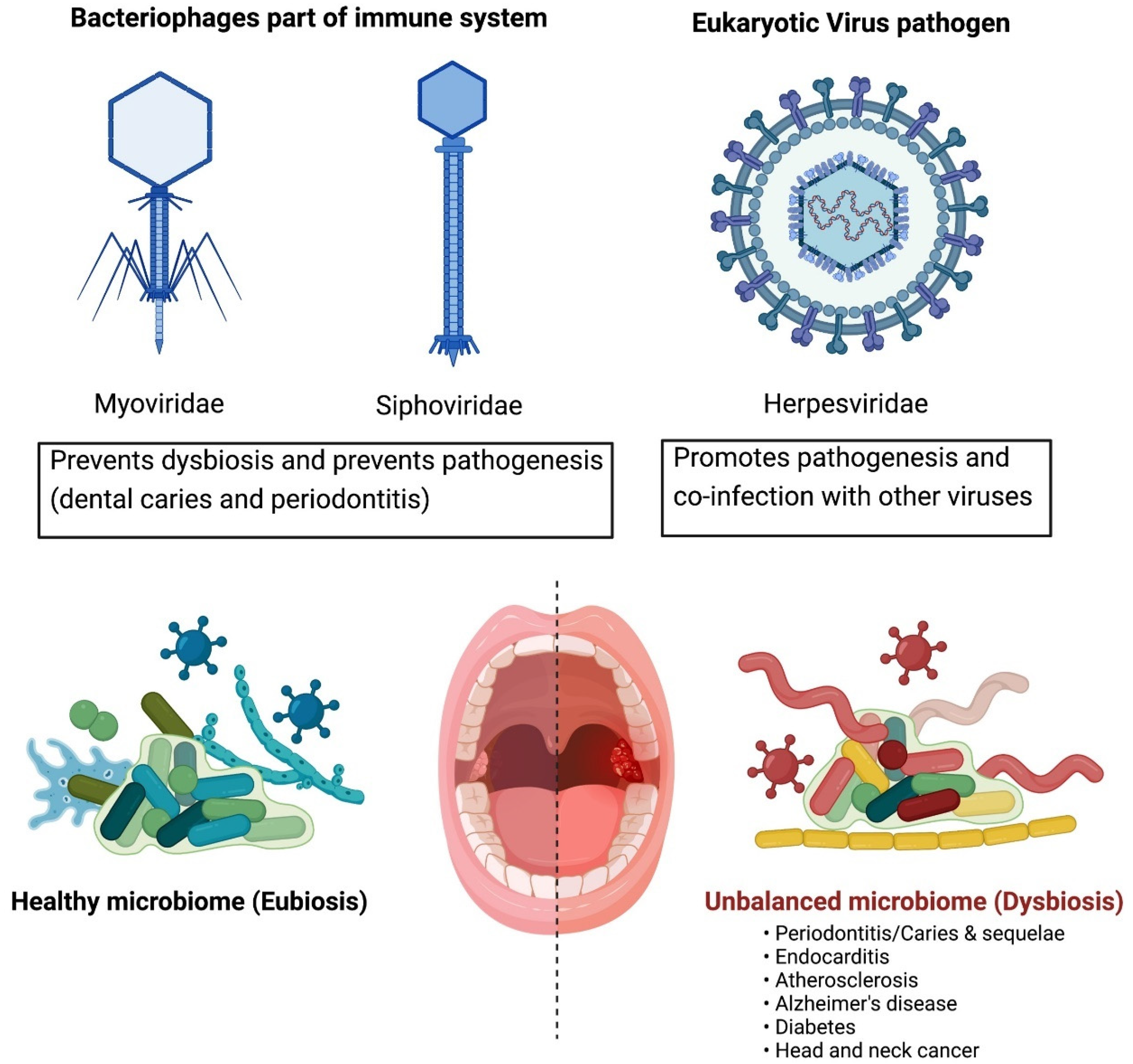 Microorganisms 10 01815 g003