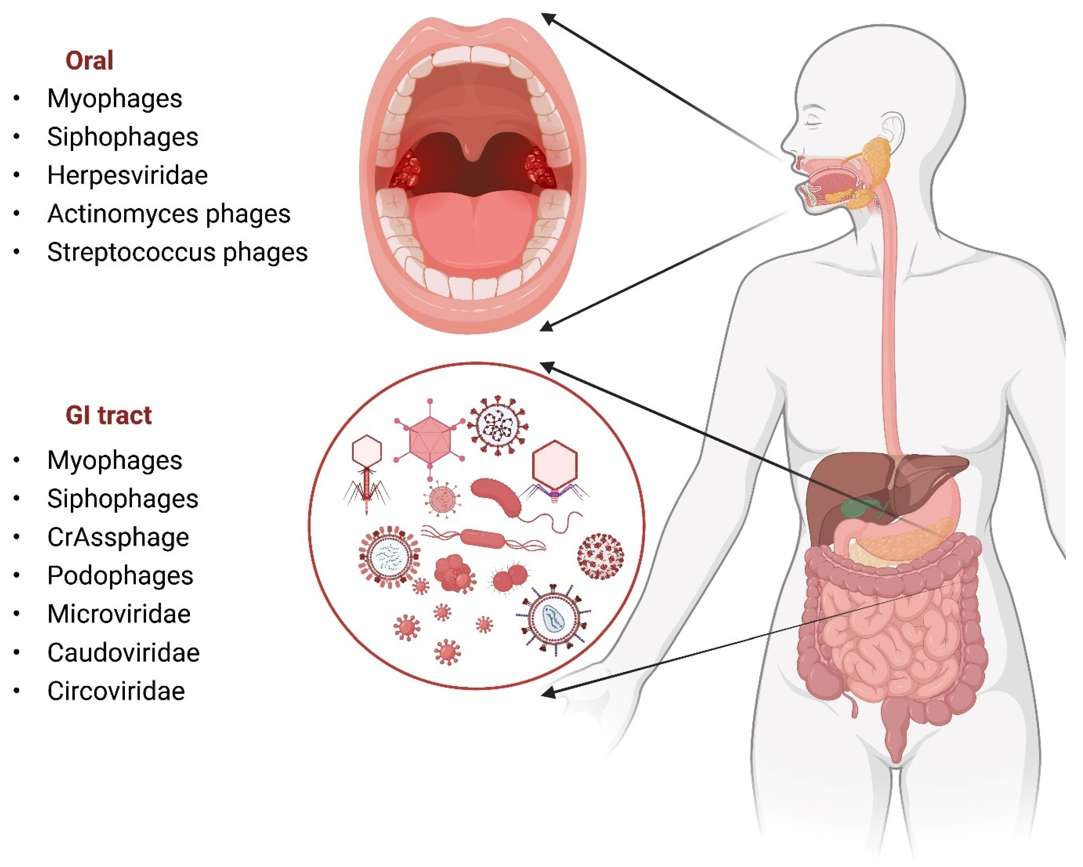 Microorganisms 10 01815 g004