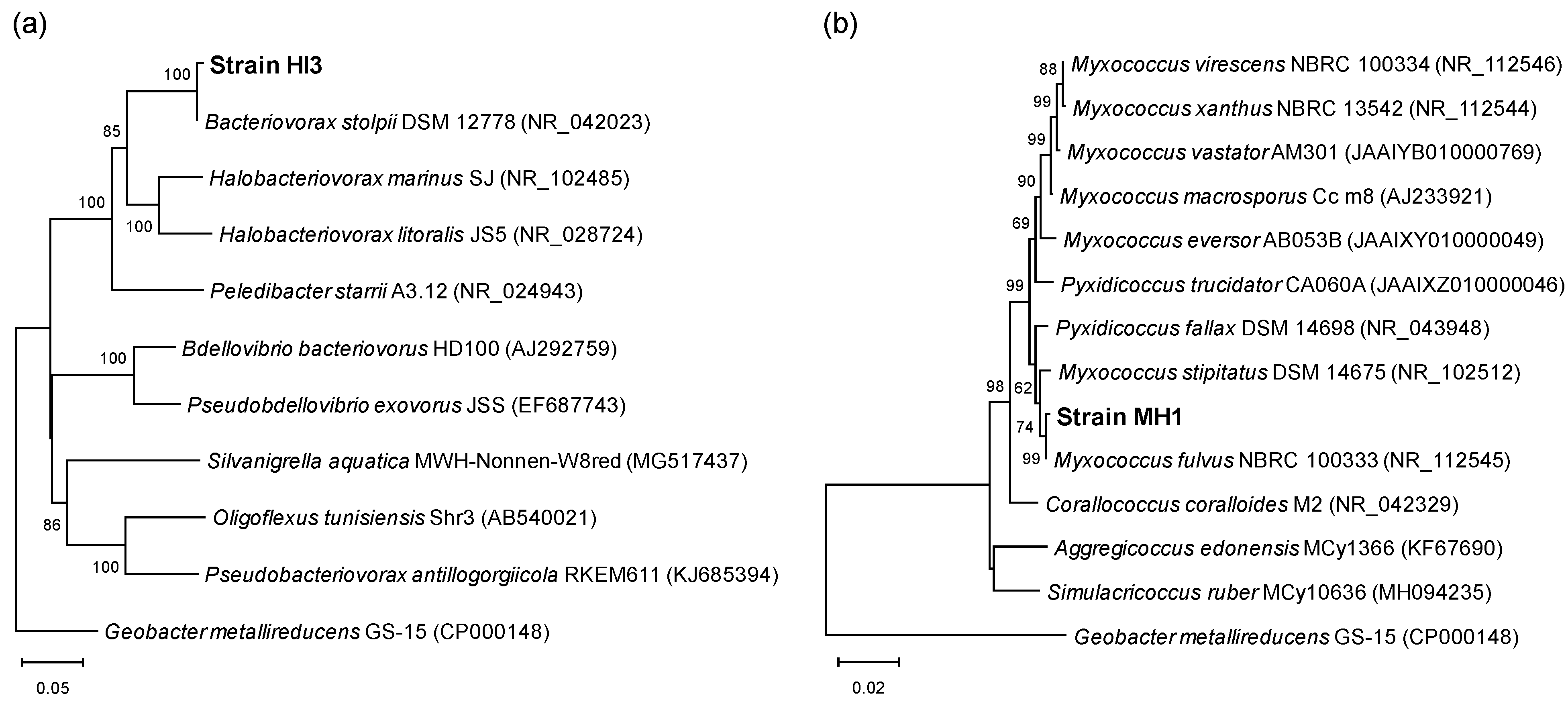 Microorganisms 10 01816 g001