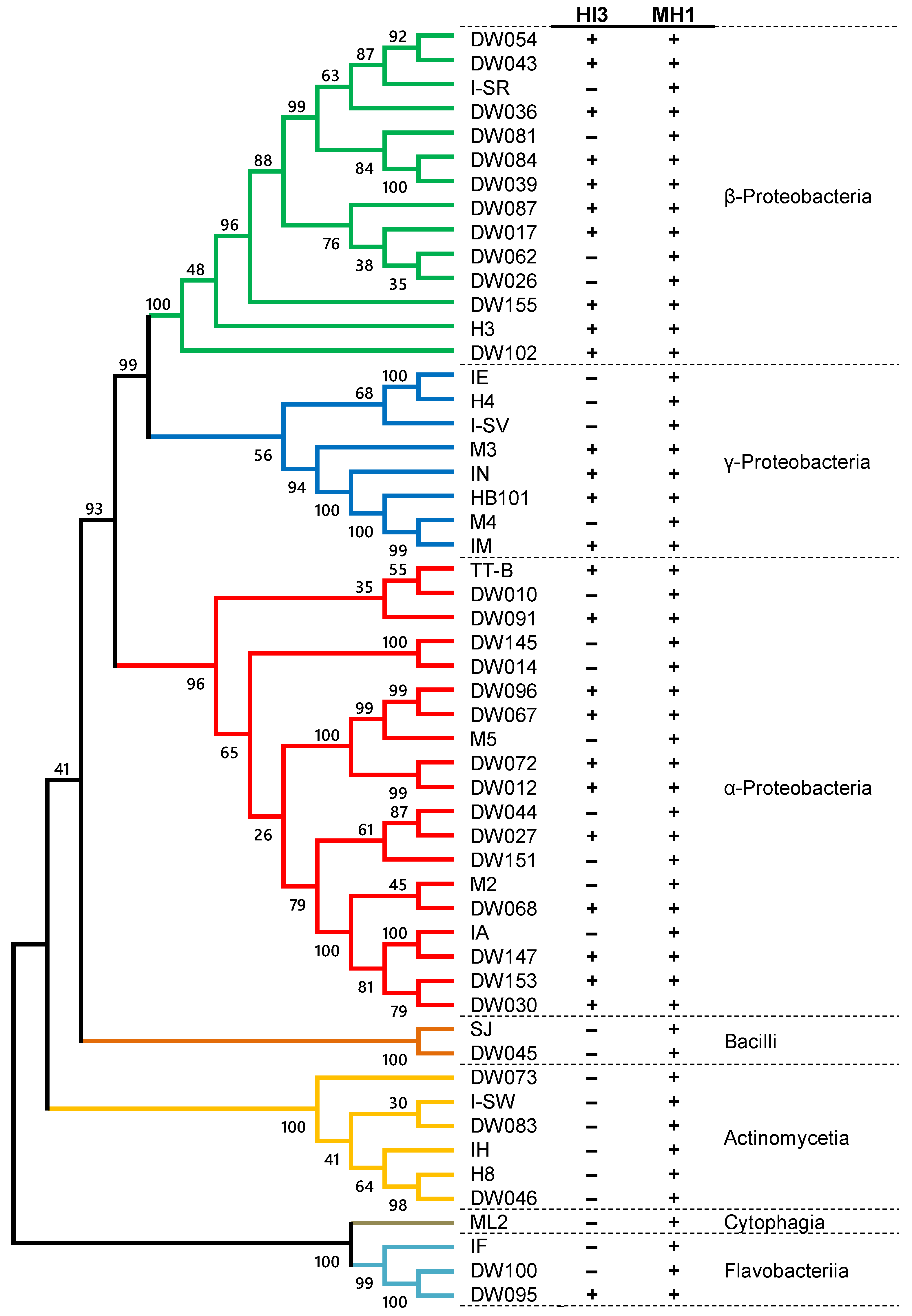 Microorganisms 10 01816 g002