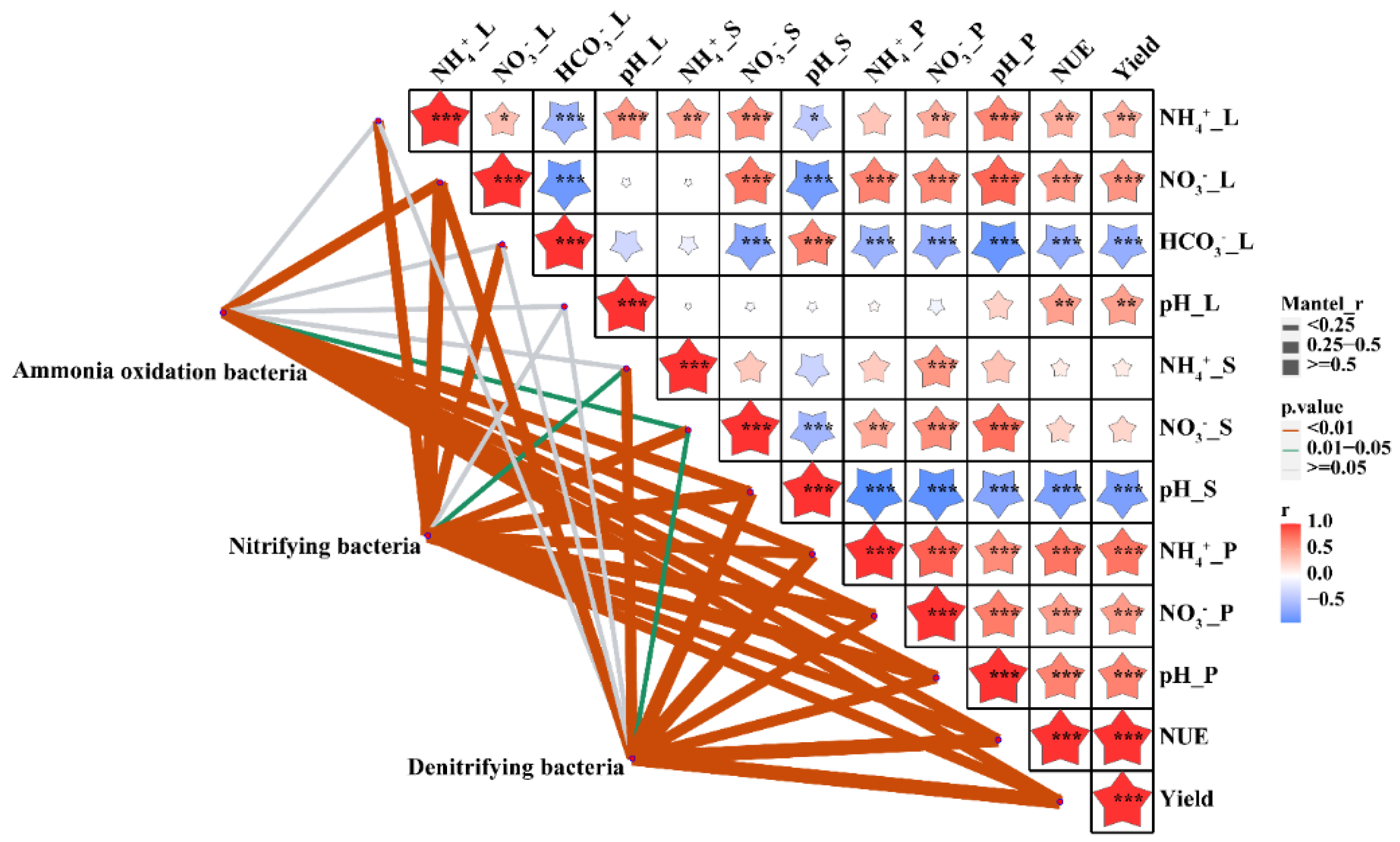 Microorganisms 10 01823 g009