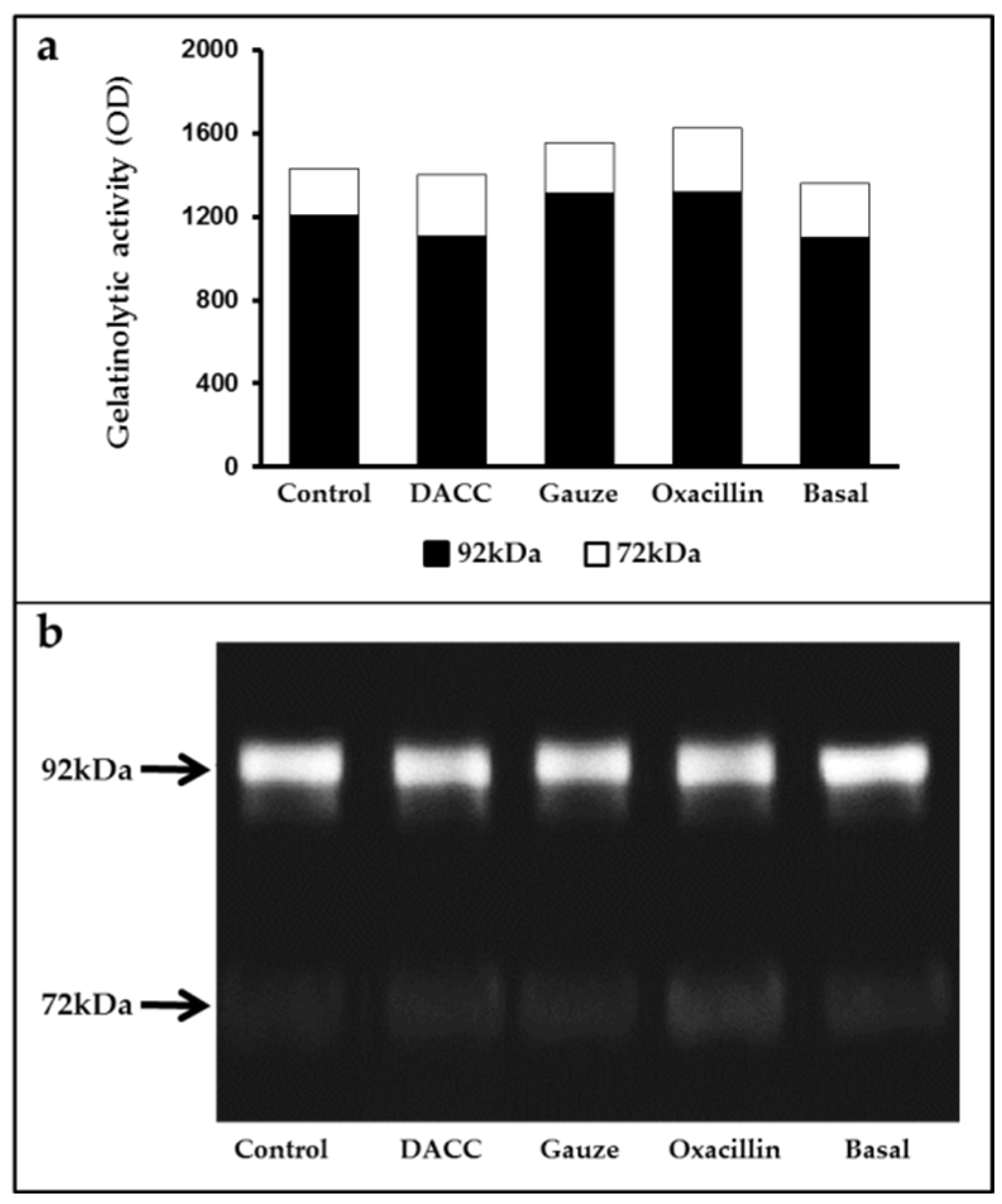 Microorganisms 10 01825 g004 Microorganisms 10 01825 g004