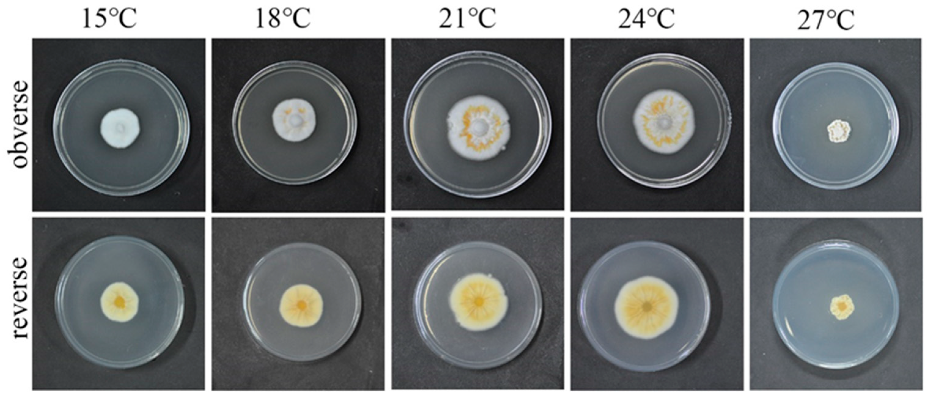 Microorganisms 10 01832 g003