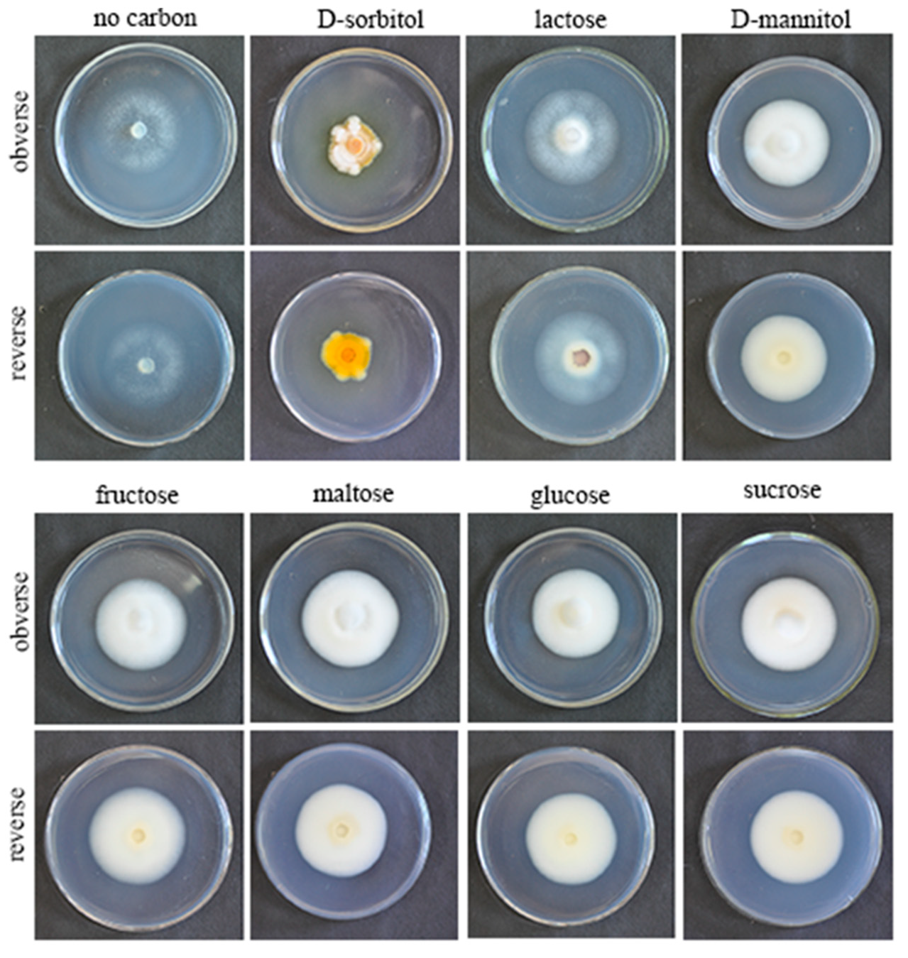 Microorganisms 10 01832 g005