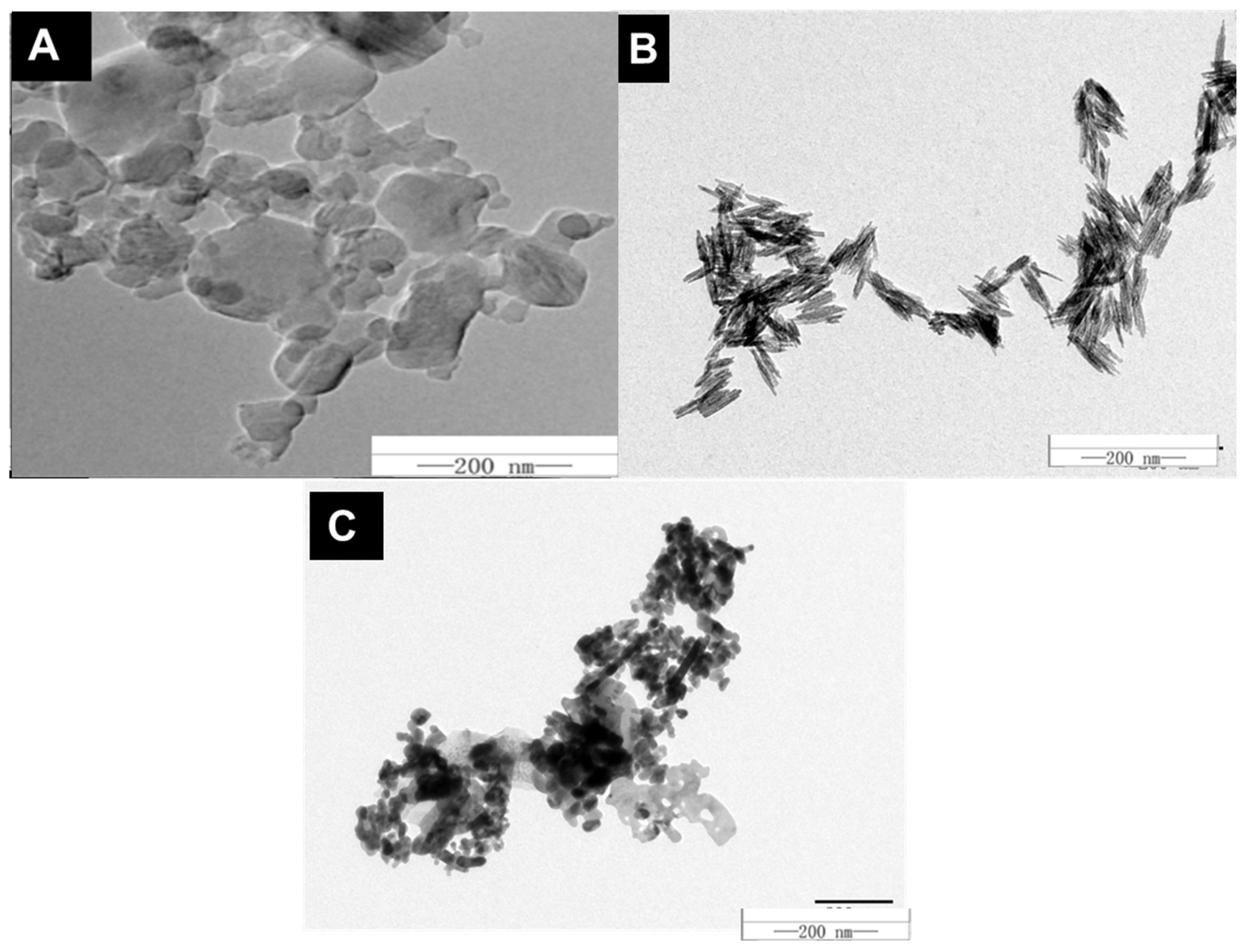 Microorganisms 10 01837 g001
