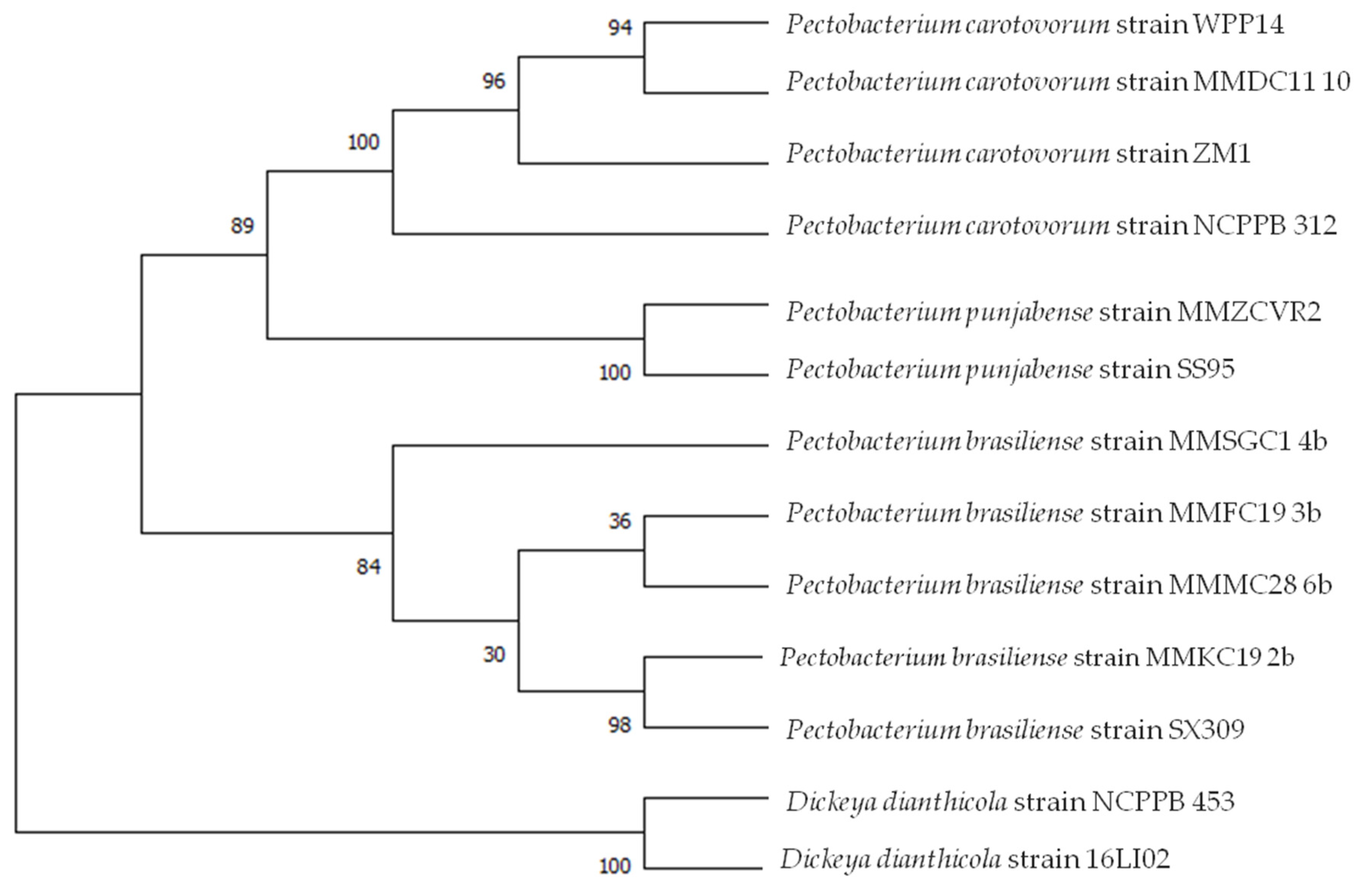 Microorganisms 10 01840 g002 Microorganisms 10 01840 g002
