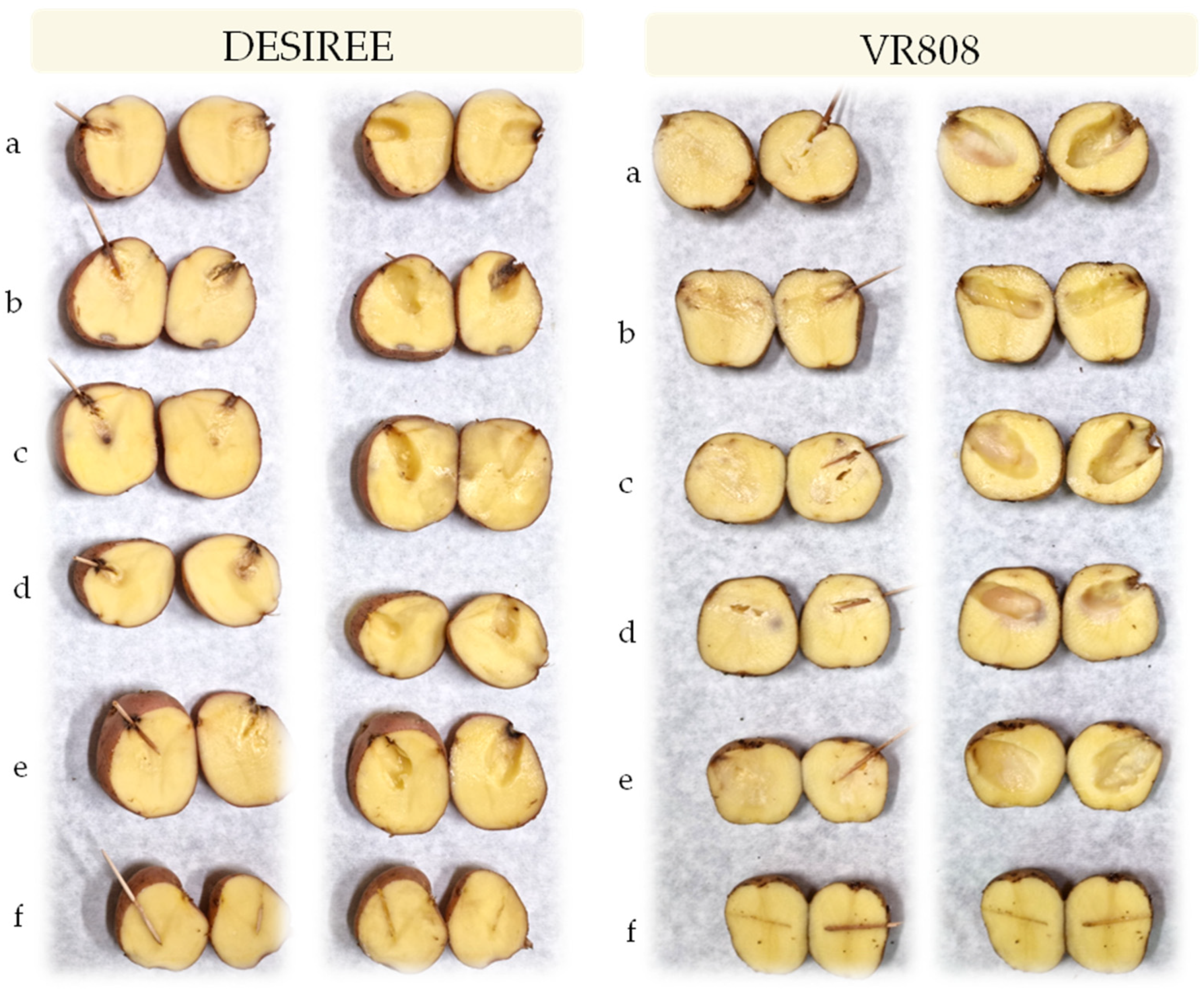Microorganisms 10 01840 g004 Microorganisms 10 01840 g004