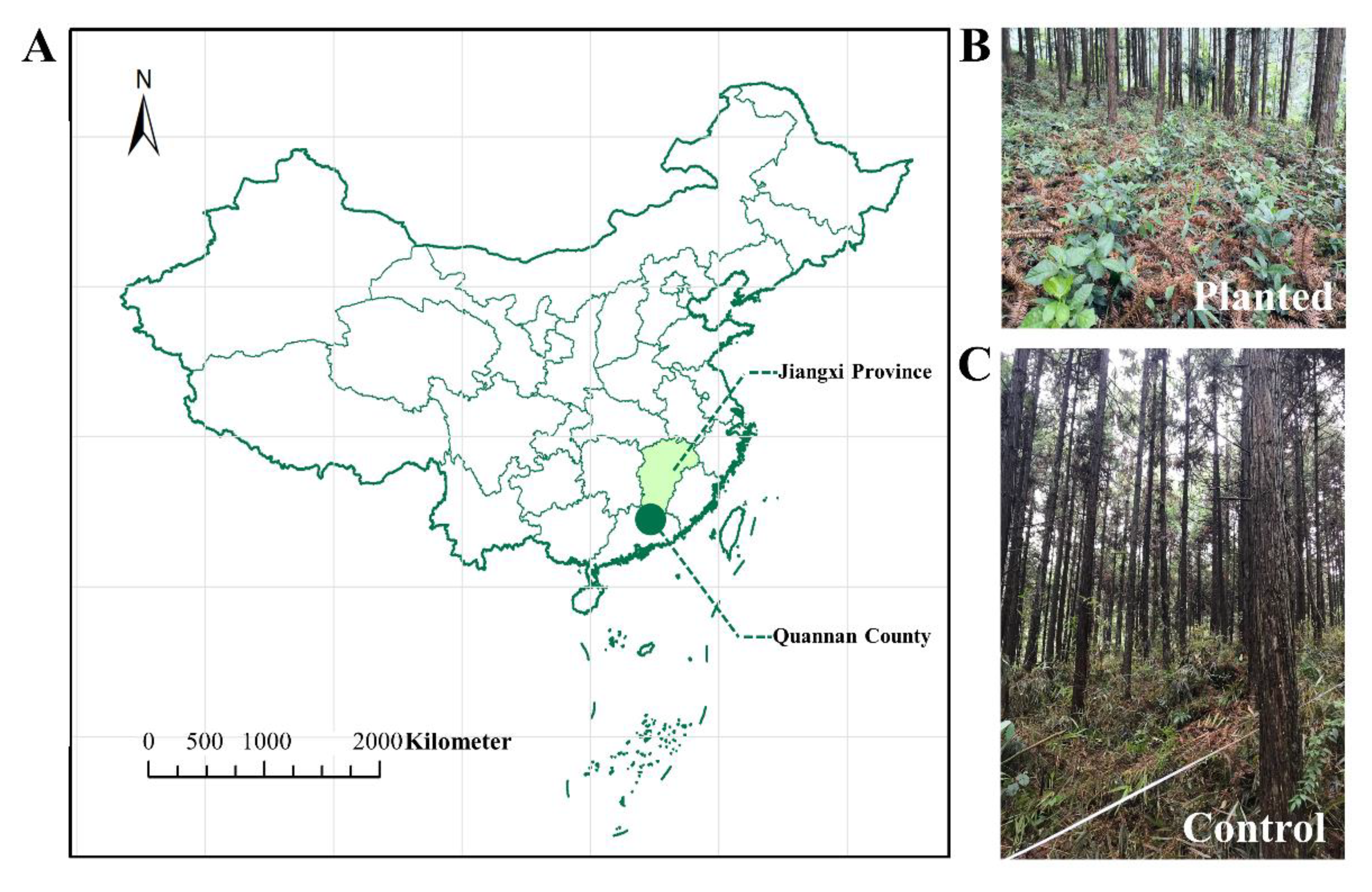 Microorganisms 10 01844 g001