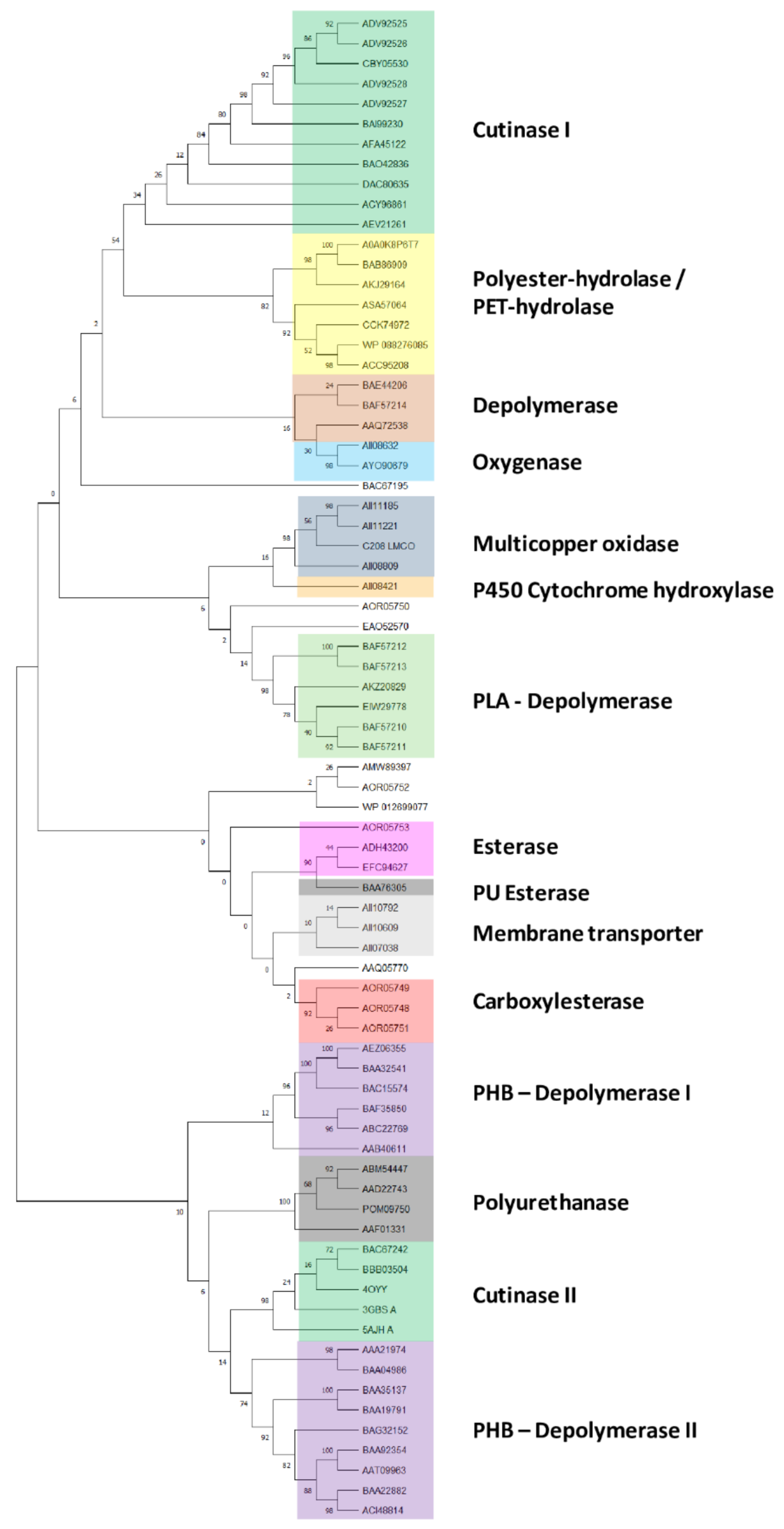 Microorganisms 10 01846 g001