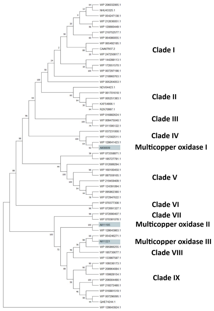 Microorganisms 10 01846 g007