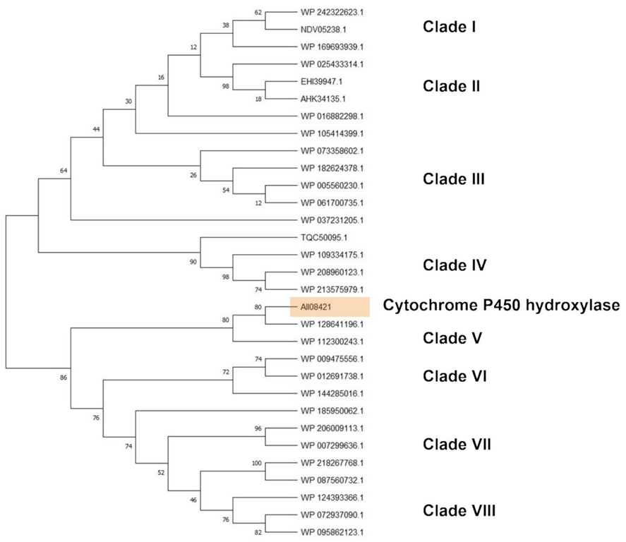 Microorganisms 10 01846 g009