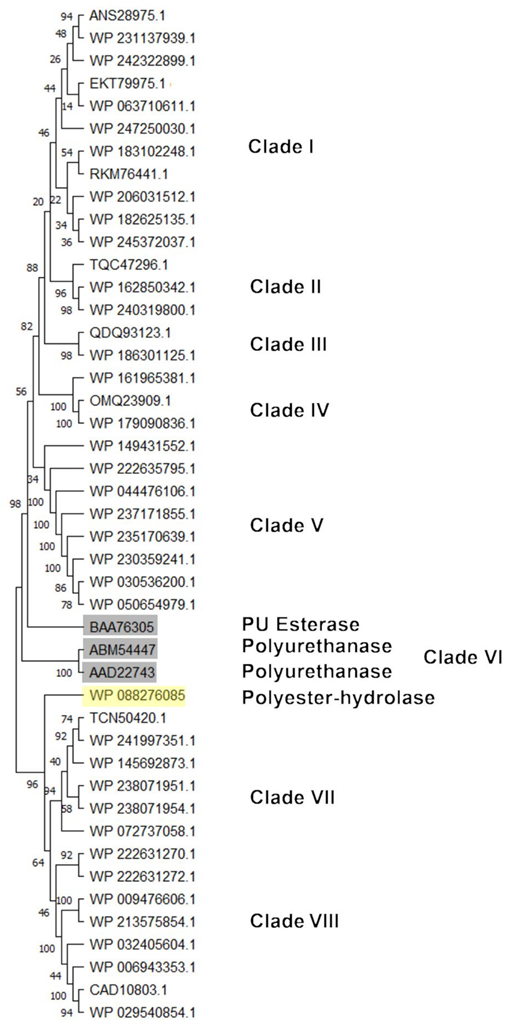 Microorganisms 10 01846 g011