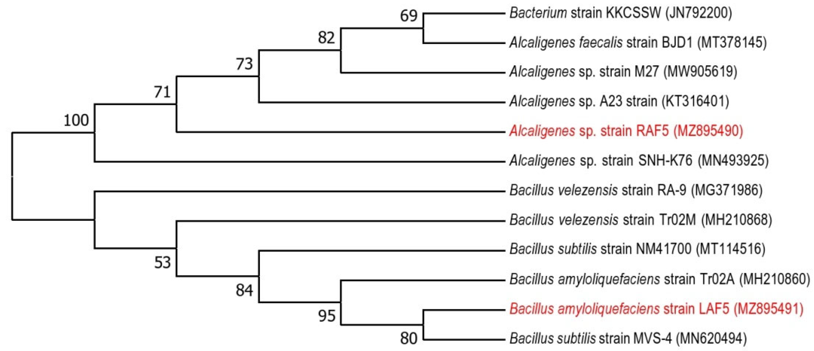 Microorganisms 10 01850 g002