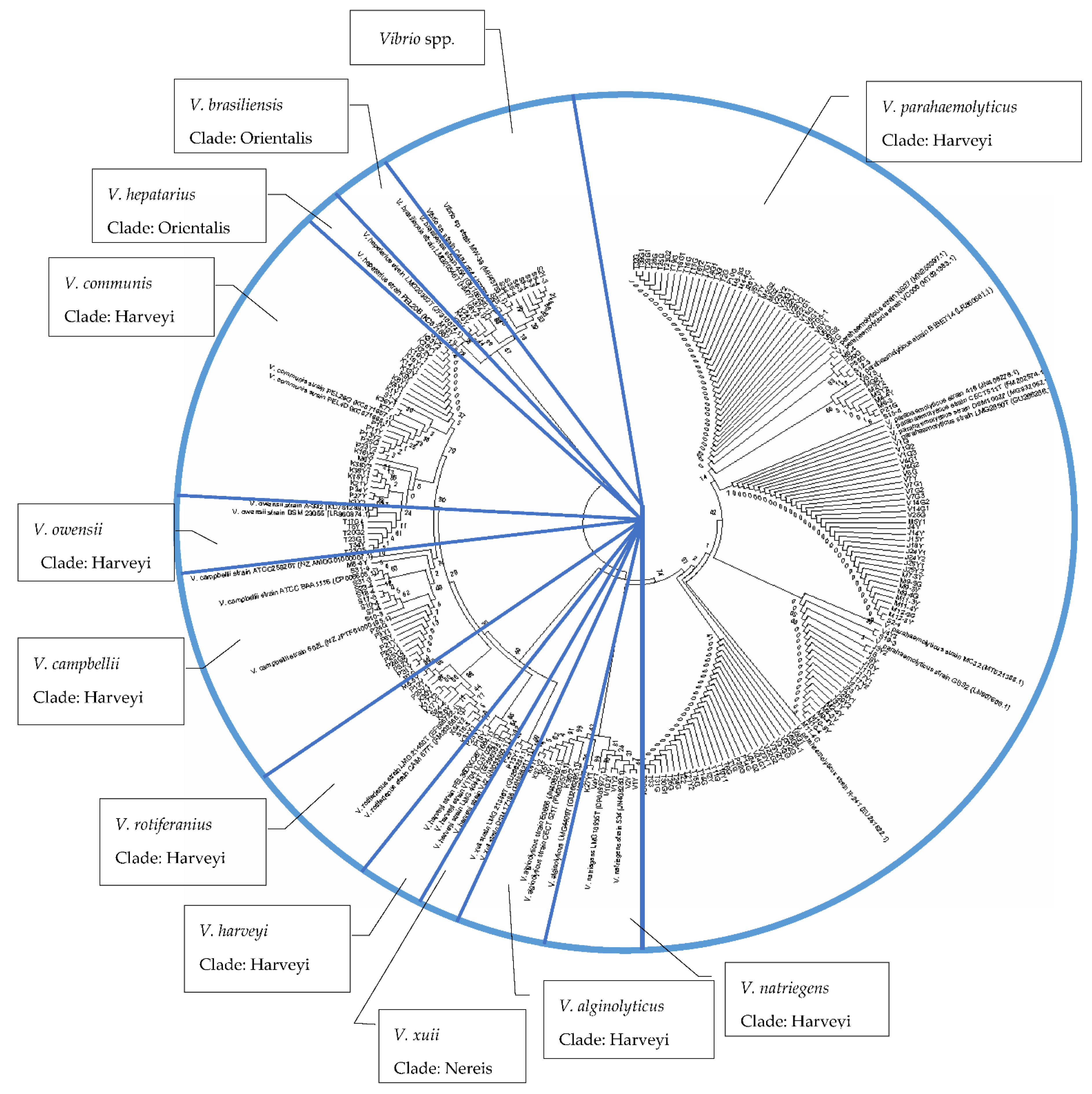 Microorganisms 10 01851 g003